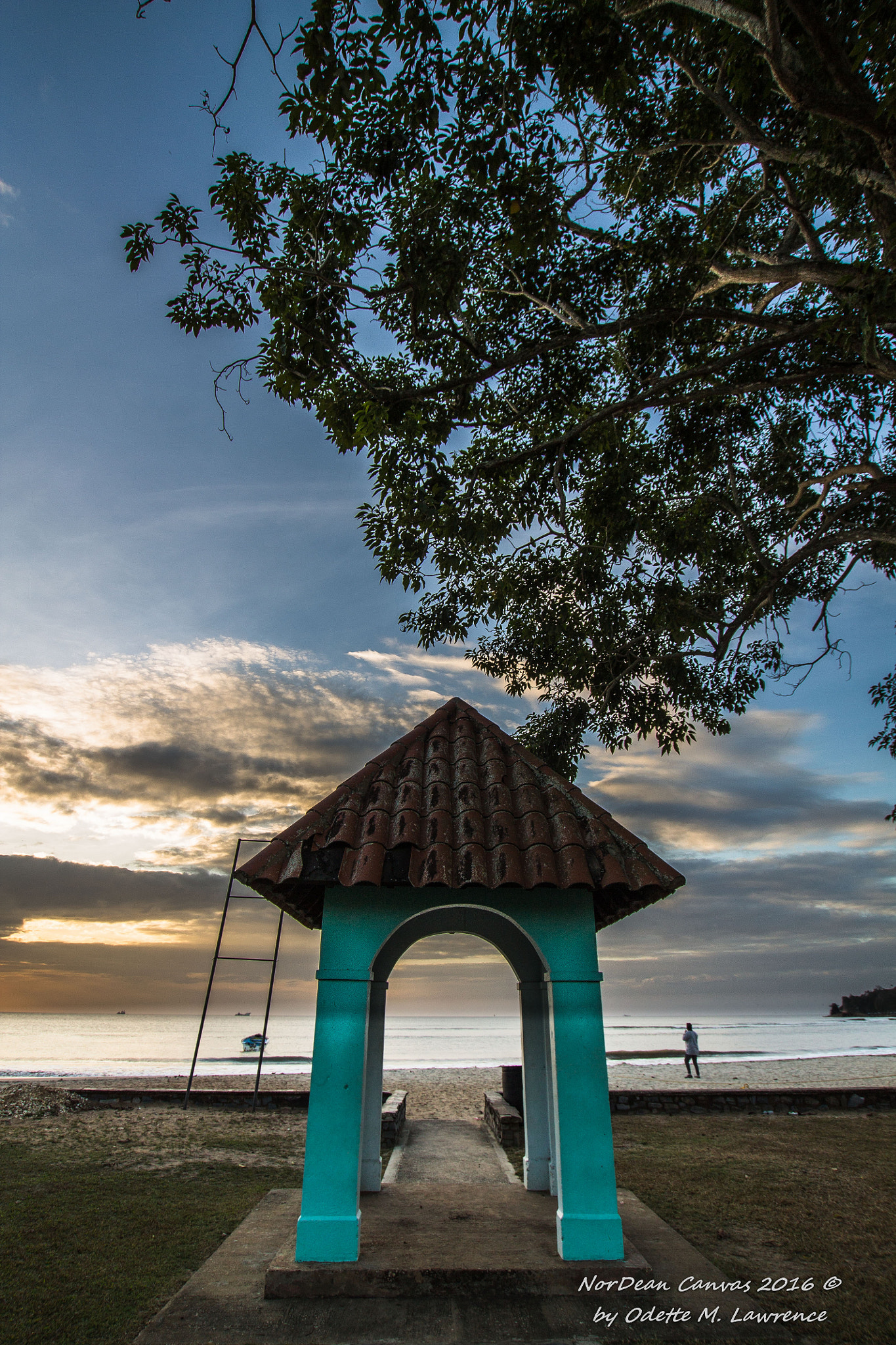 Sigma 10-20mm F3.5 EX DC HSM sample photo. That island life photography