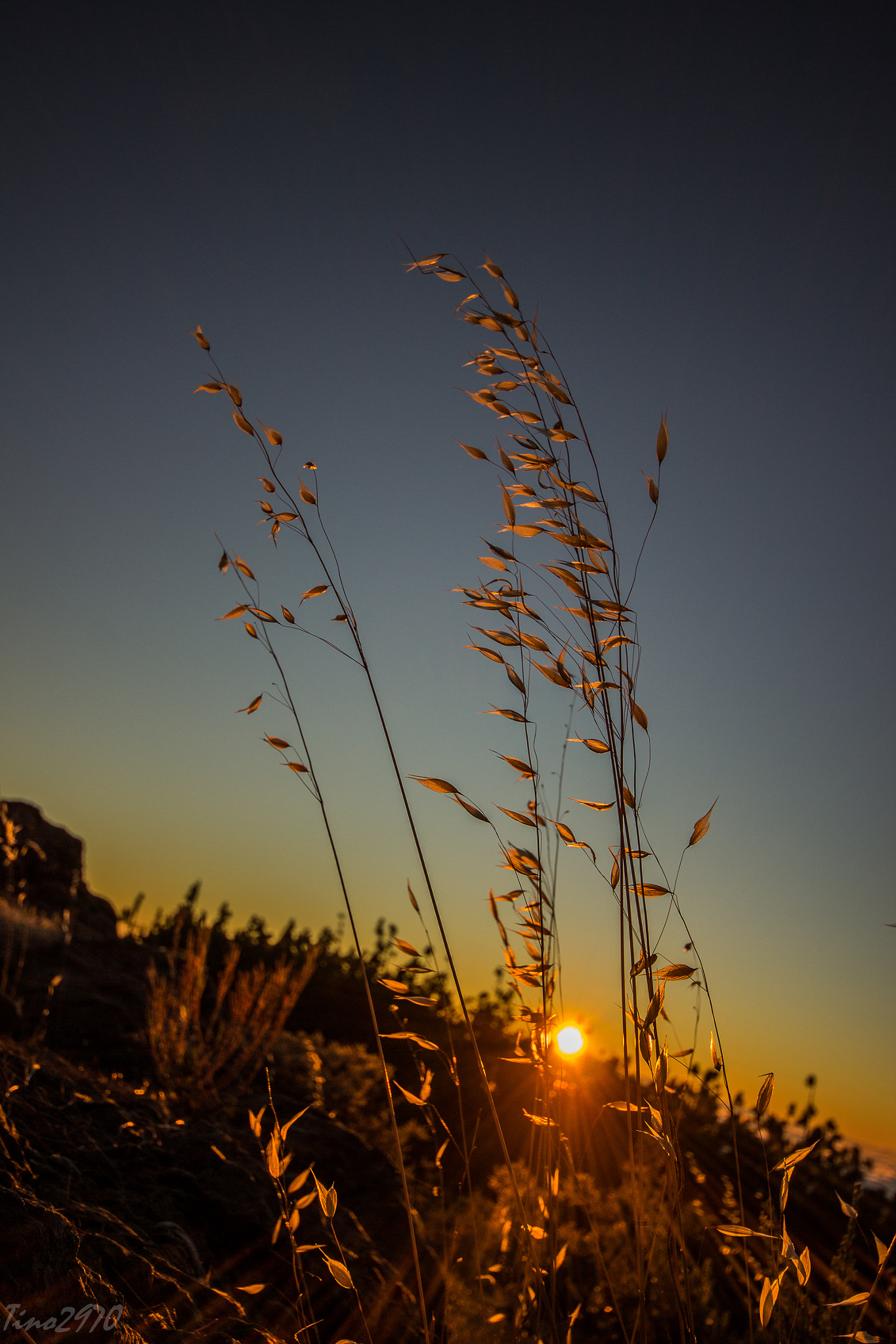 Sigma 10-20mm F4-5.6 EX DC HSM sample photo. Twilight photography