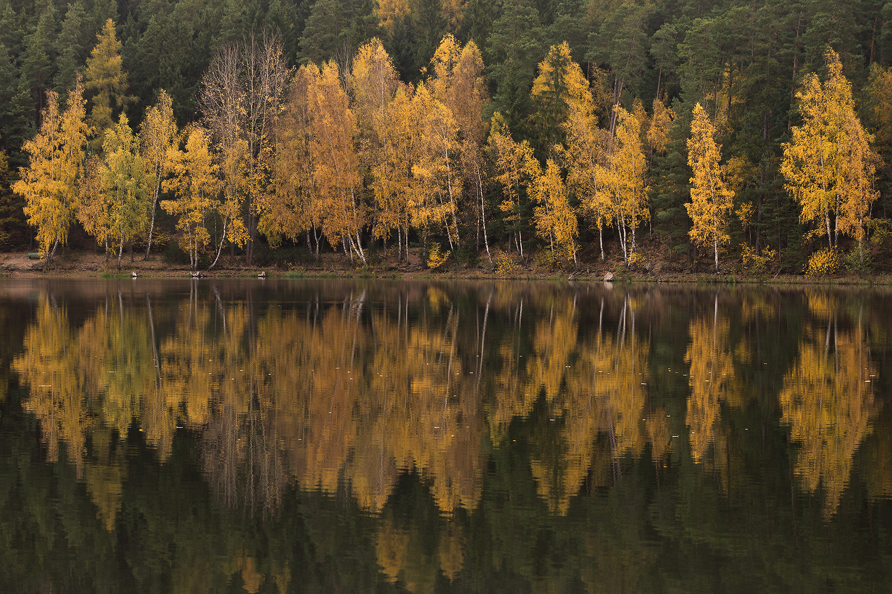 Pentax K-5 sample photo. Spiegelungen photography