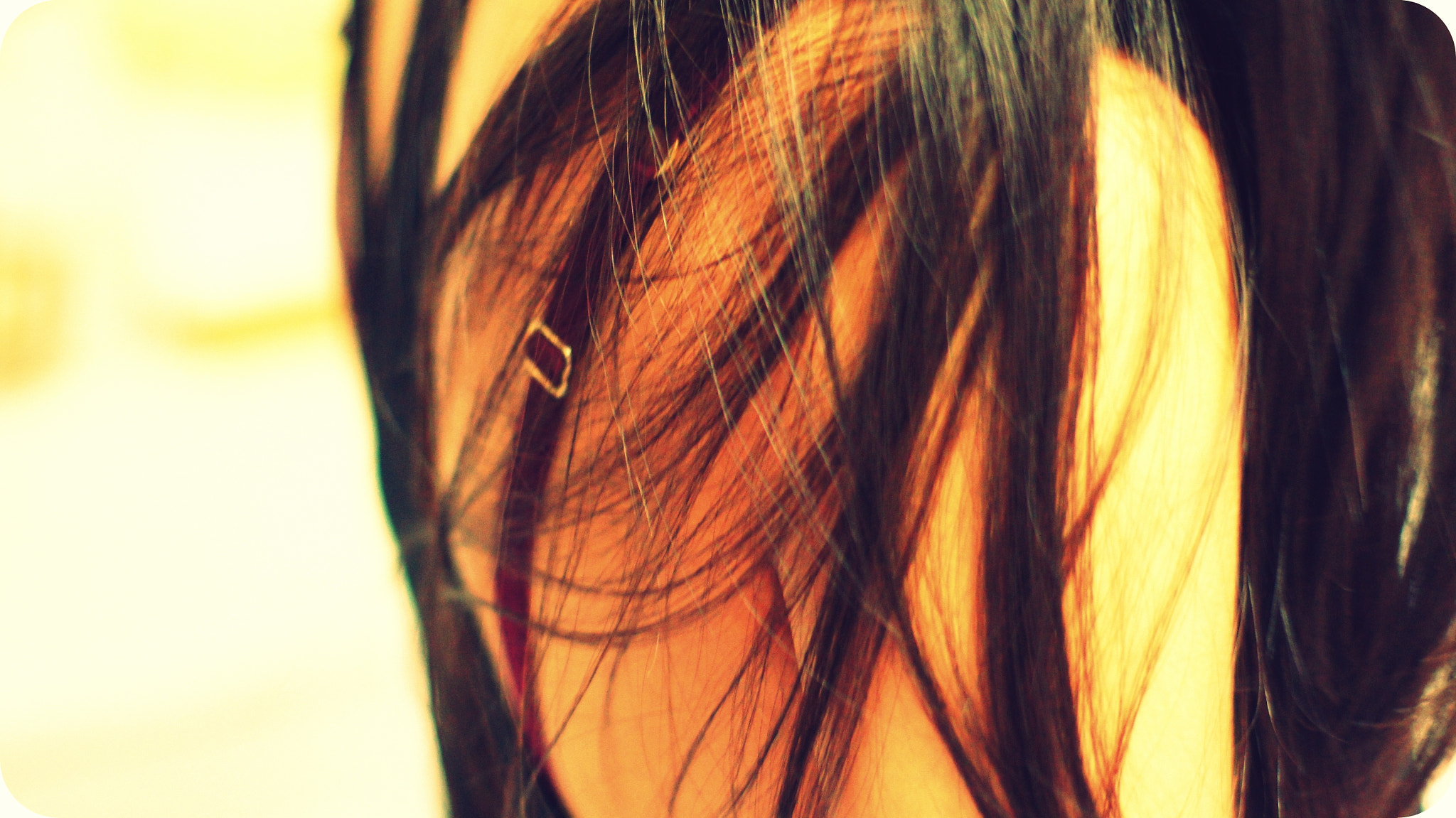 Sony 50mm F1.4 sample photo. Delicate photography