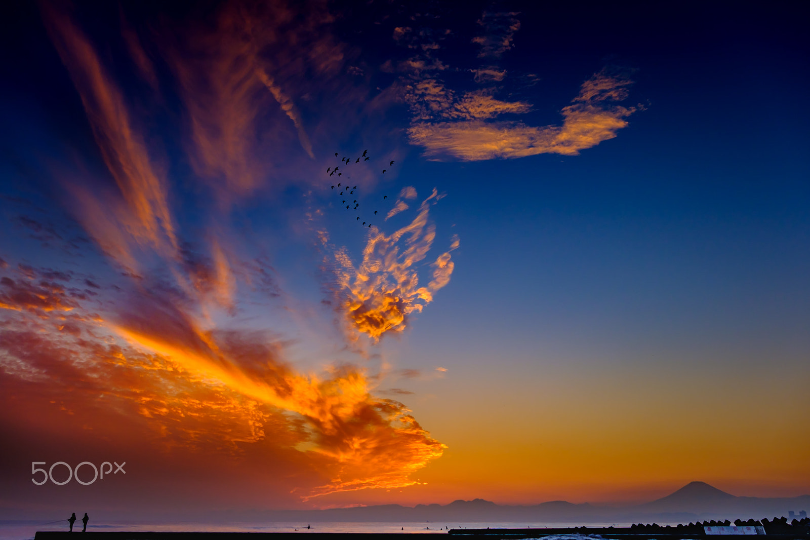 Fujifilm X-Pro2 + Fujifilm XF 18-135mm F3.5-5.6 R LM OIS WR sample photo. Birds in the sunset photography