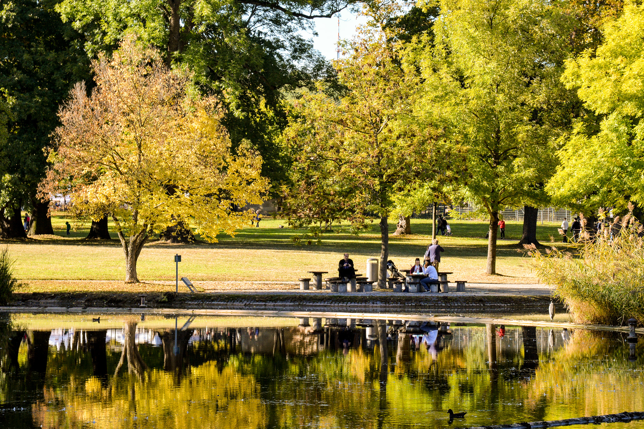 Sigma 17-70mm F2.8-4 DC Macro OS HSM | C sample photo. Sunday in october photography