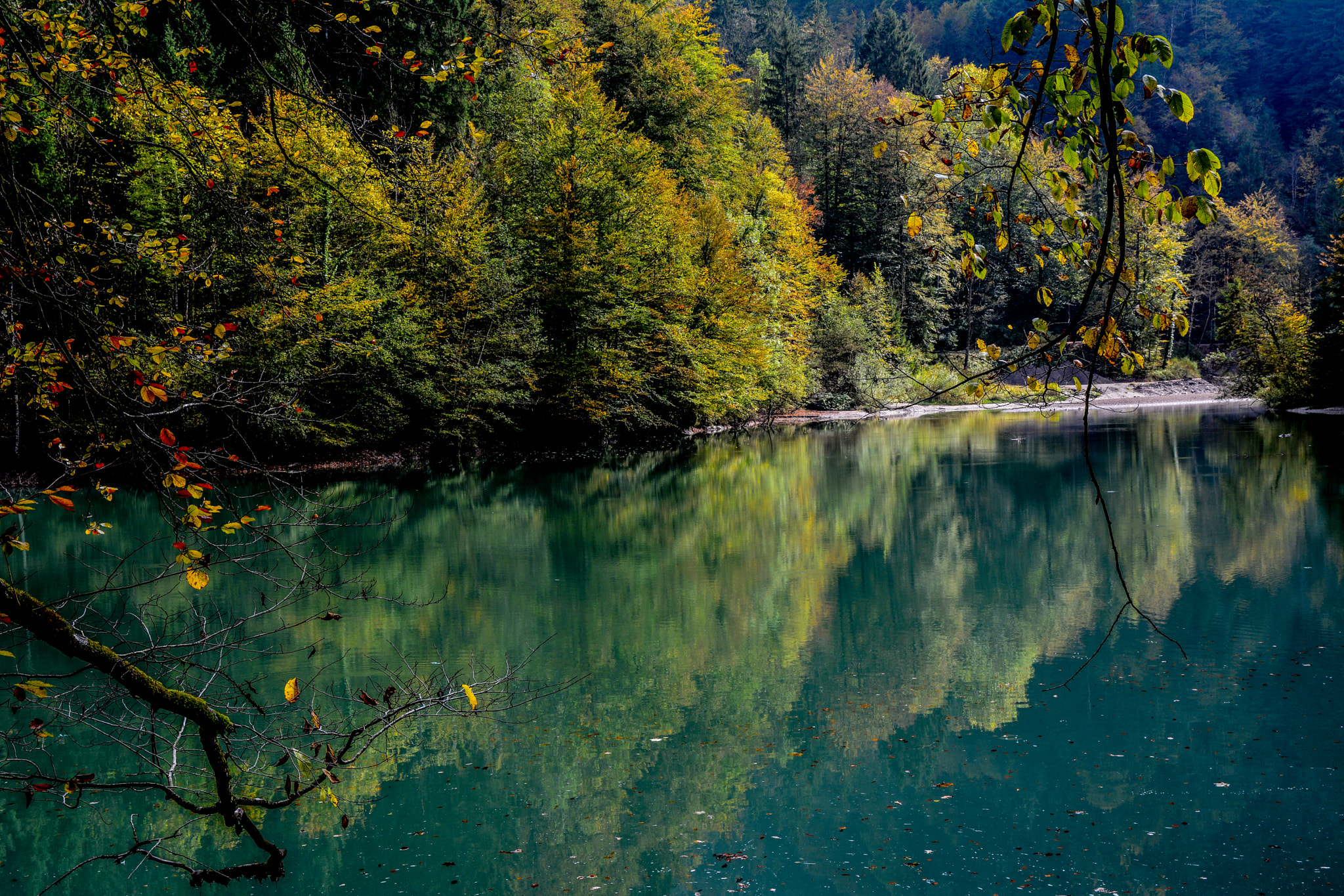 Sigma 17-70mm F2.8-4 DC Macro OS HSM | C sample photo. Reflections on water photography