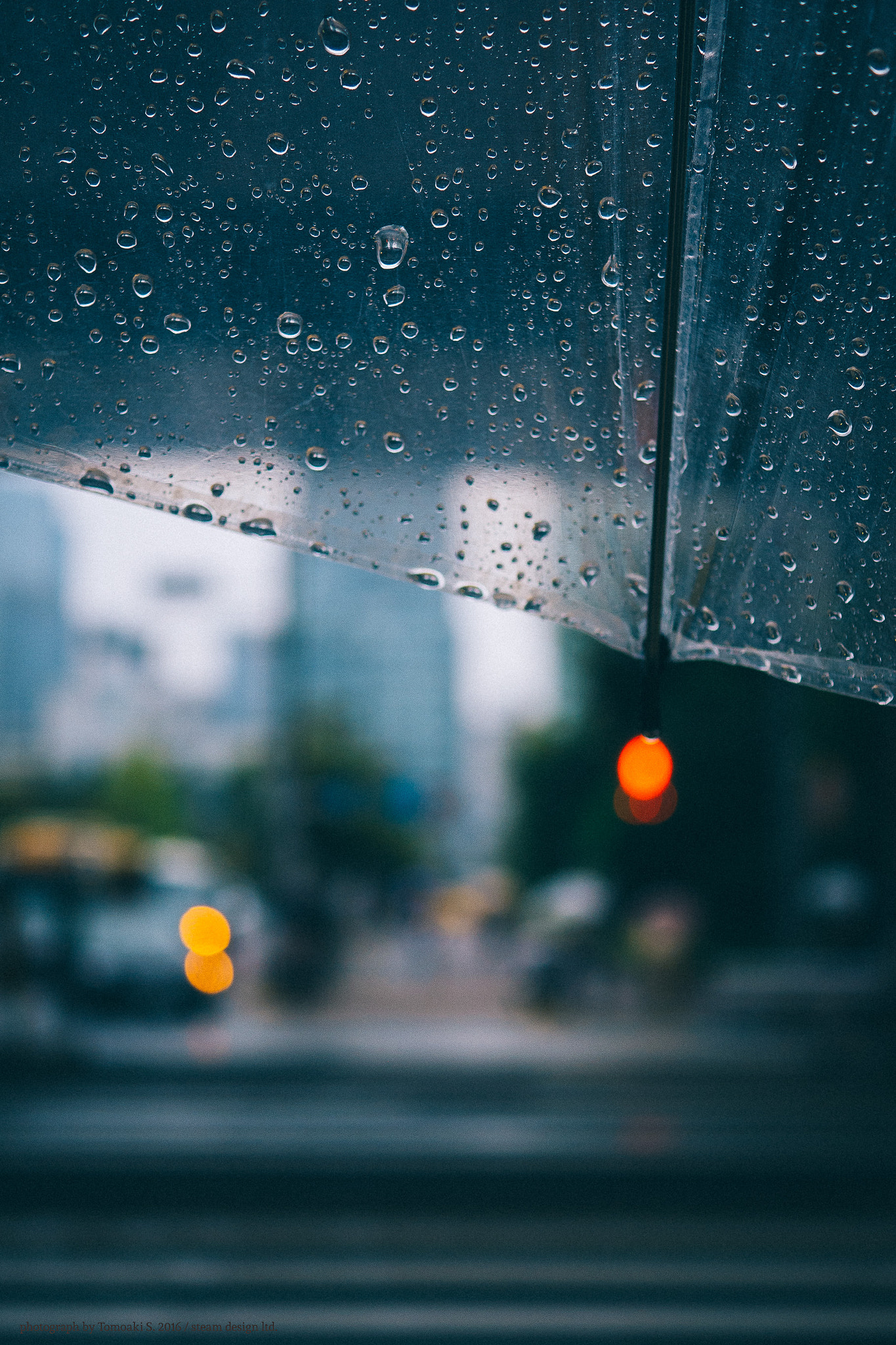 Panasonic DMC-G8 sample photo. Red rain drops photography