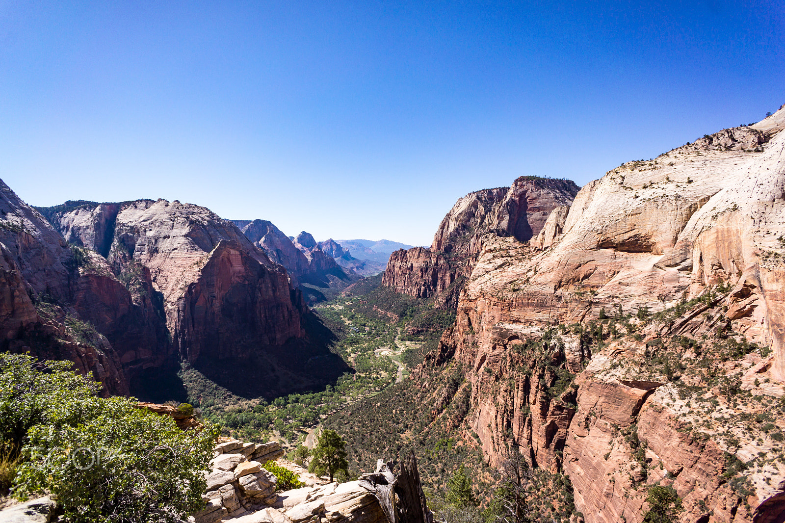 Sony Alpha NEX-7 sample photo. Zion national park, angels landing photography