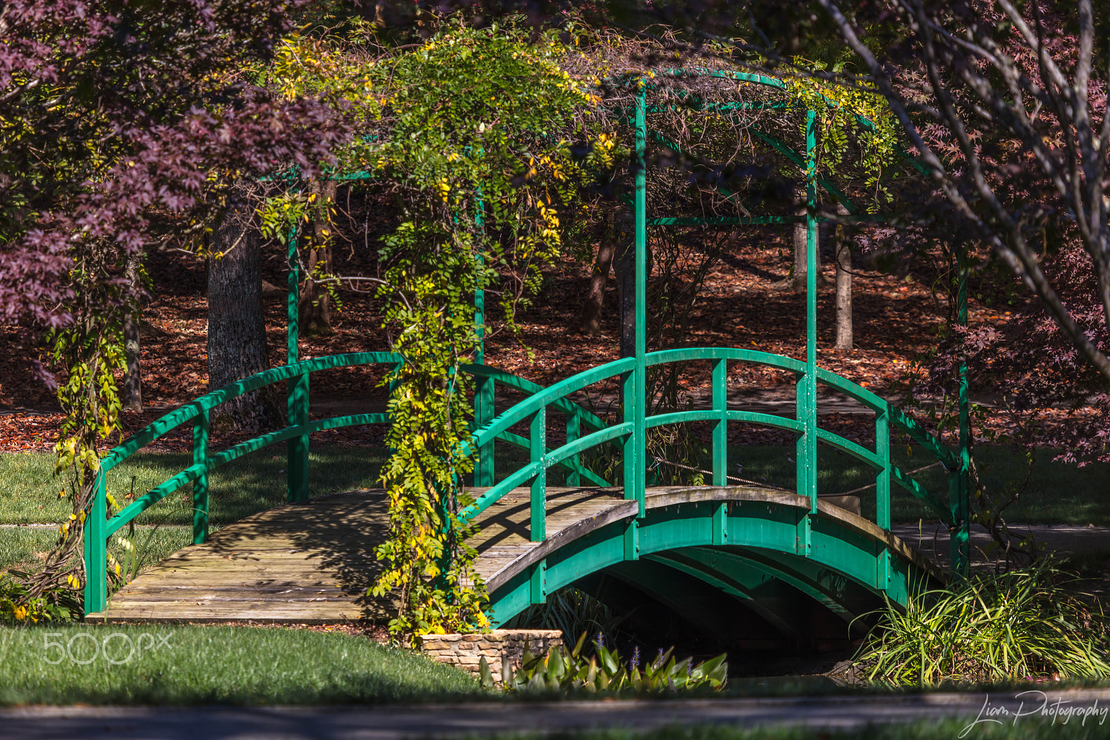 Canon EF 100-400mm F4.5-5.6L IS USM sample photo. Bridge with fall colors photography