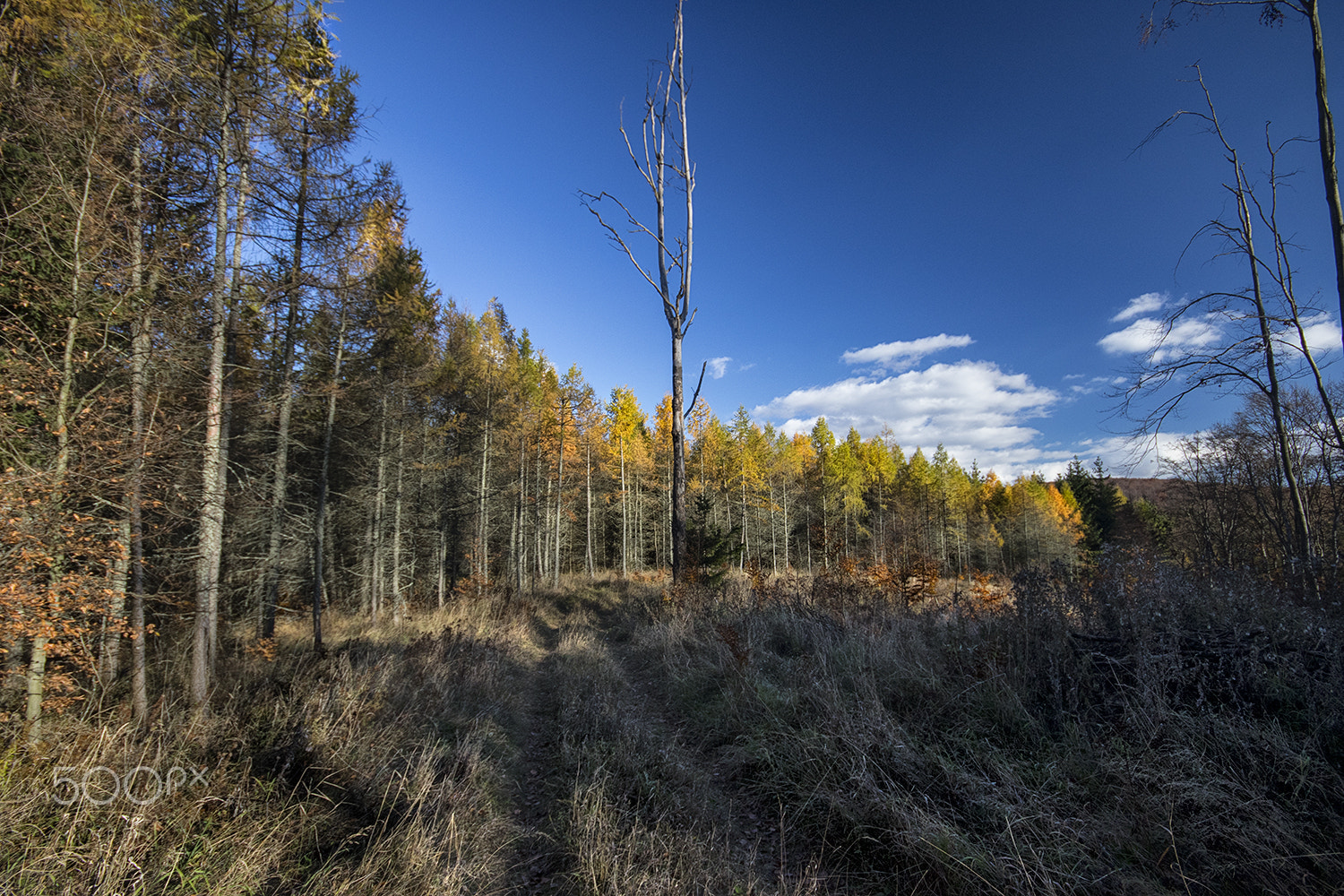 Sigma 10-20mm F4-5.6 EX DC HSM sample photo. Somewhere in the silent photography