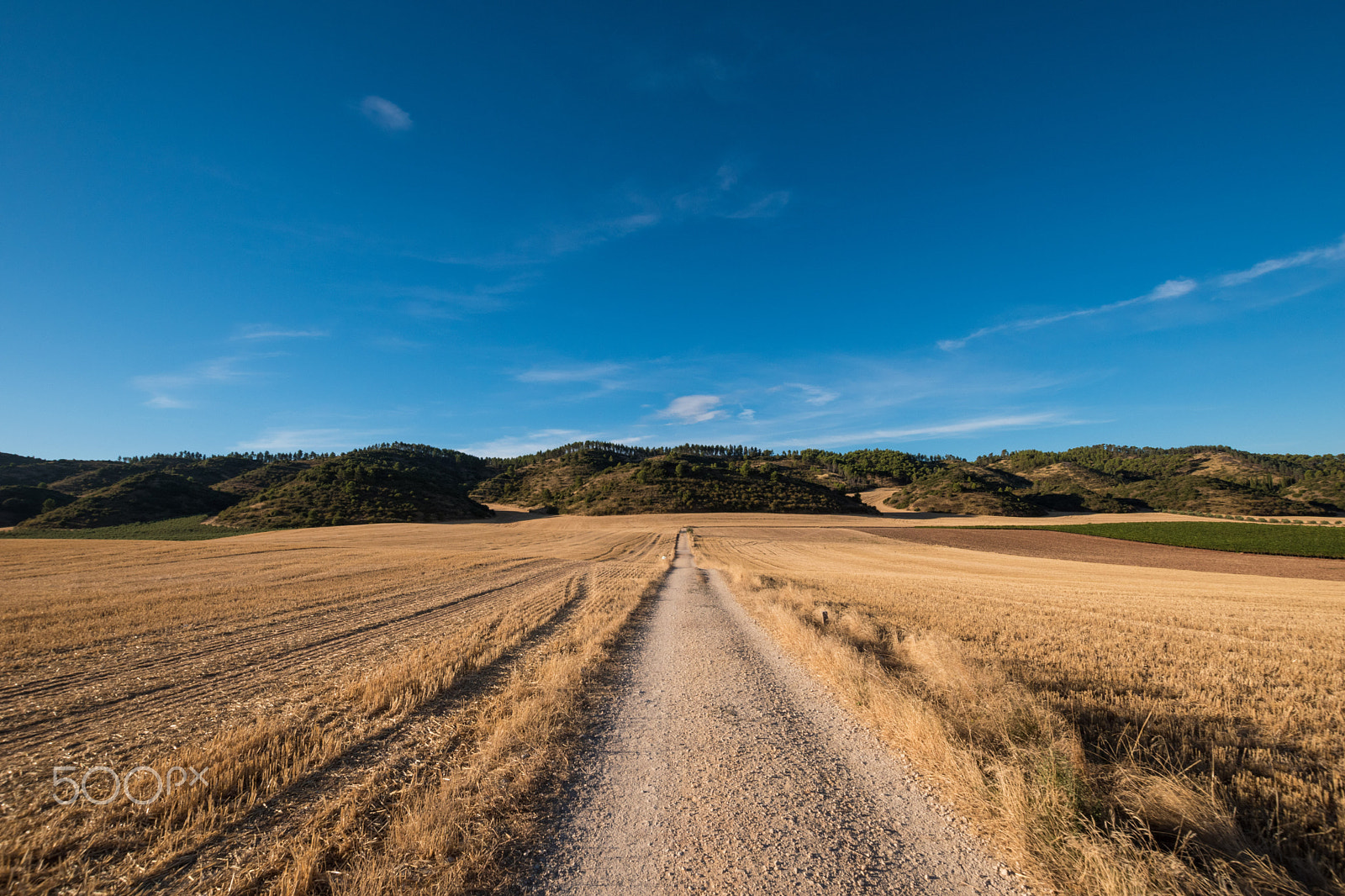 Nikon D5500 + Sigma 10-20mm F3.5 EX DC HSM sample photo. Through fields to los arcos photography