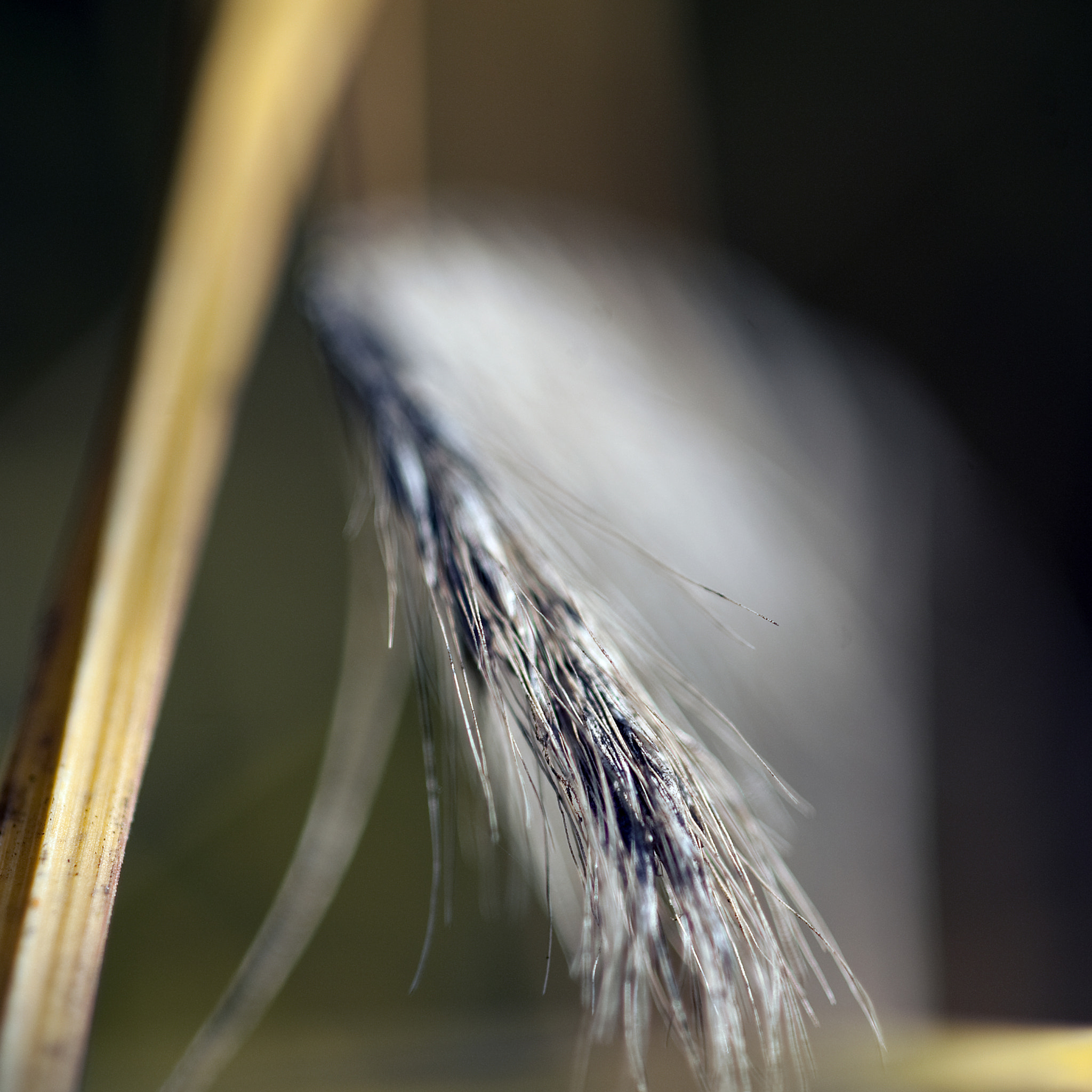 Nikon D3 sample photo. Wind photography