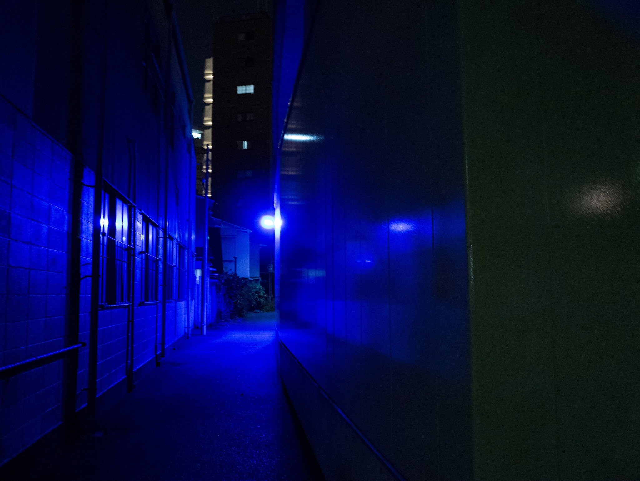 Panasonic DMC-GM1S + LUMIX G 14/F2.5 II sample photo