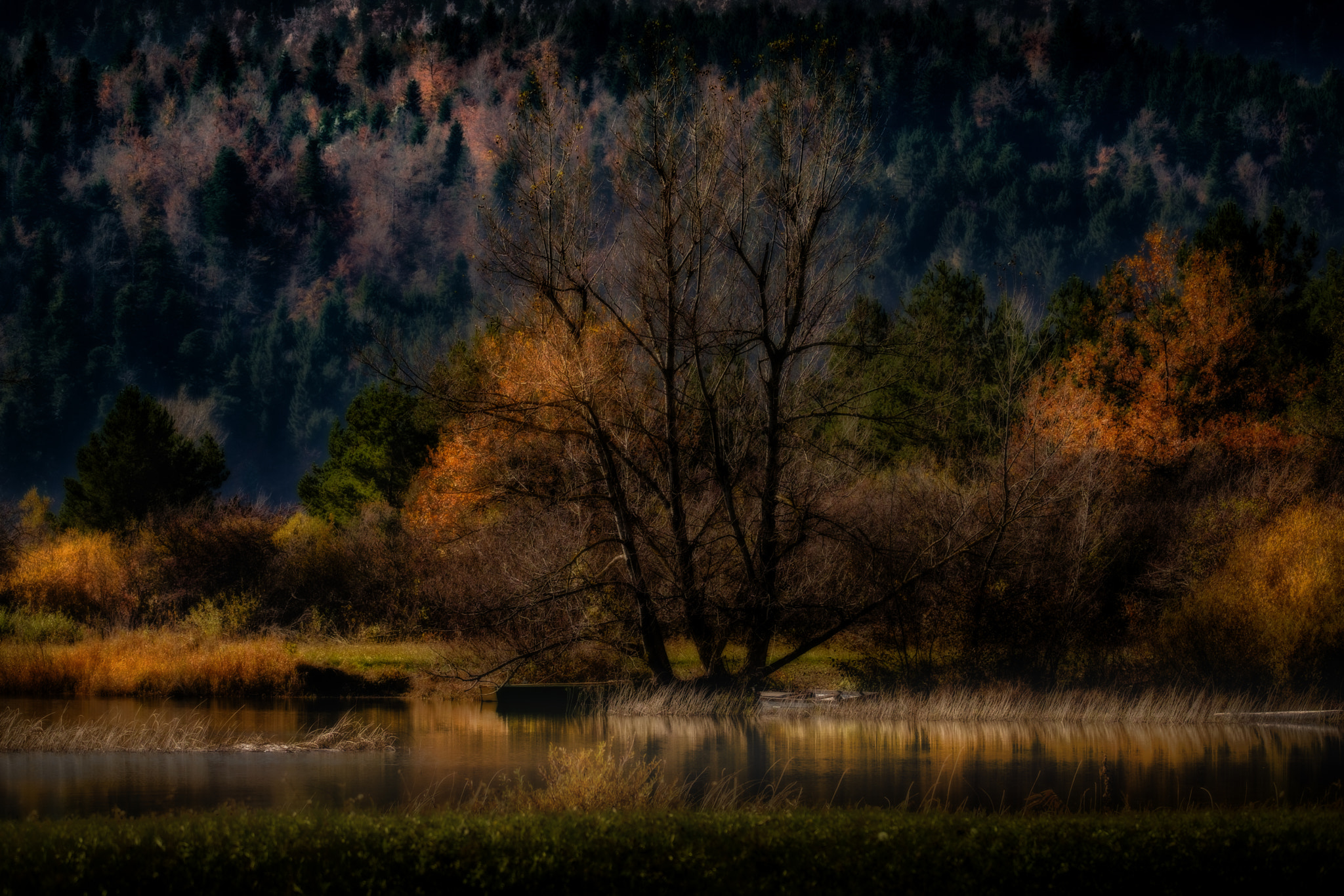 Fujifilm X-Pro2 + Fujifilm XF 100-400mm F4.5-5.6 R LM OIS WR sample photo. Cerkniško jezero photography