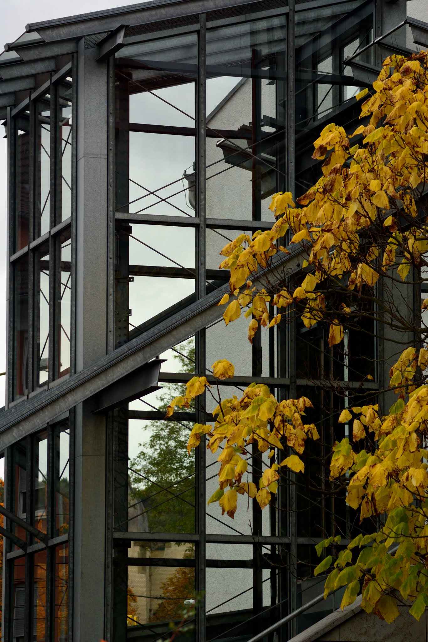 Nikon AF Nikkor 70-300mm F4-5.6G sample photo. Fall in the city photography