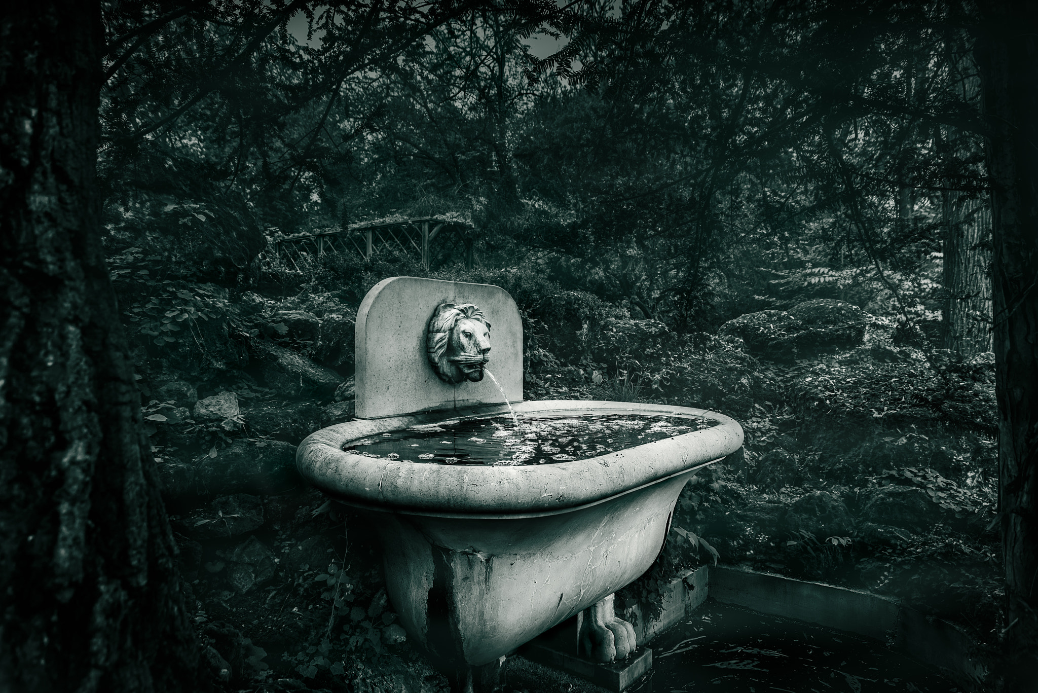 Sigma 24-70mm F2.8 EX DG Macro sample photo. Lion head fountain photography