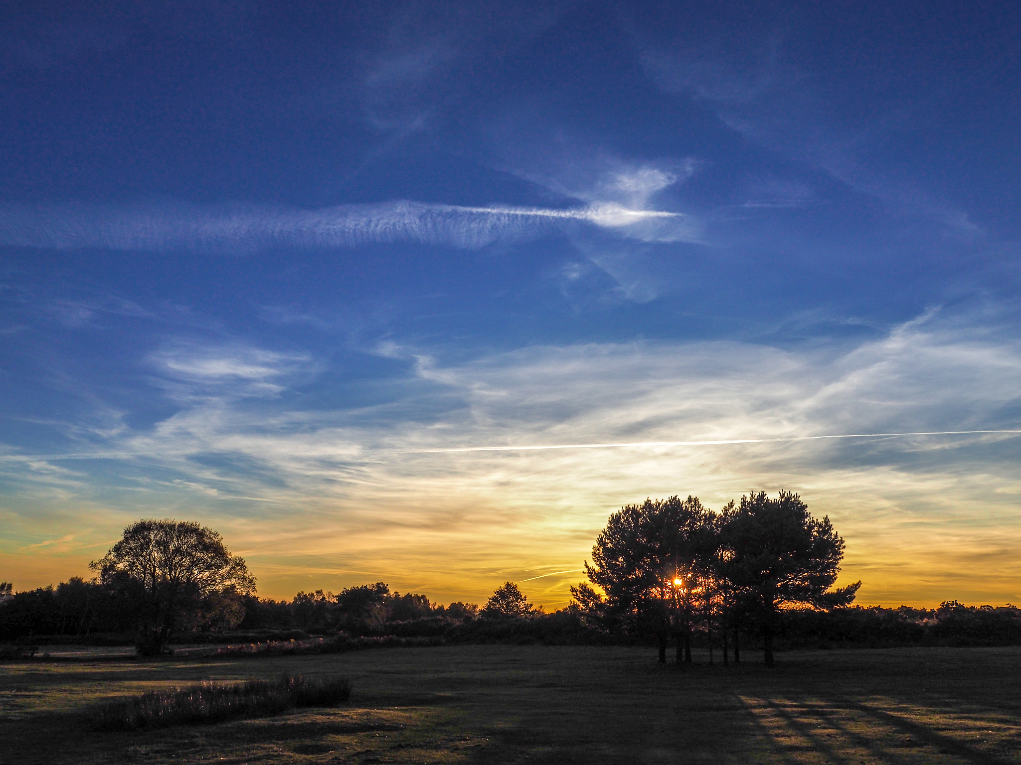 Olympus PEN-F + OLYMPUS M.12mm F2.0 sample photo. Sunset over the ashdown forest in sussex photography