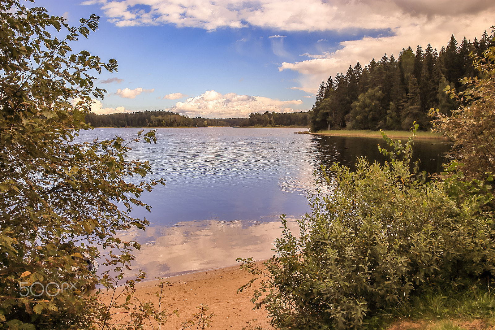 Canon EF 28-80mm f/2.8-4L sample photo. Edge of the woods and lakes photography