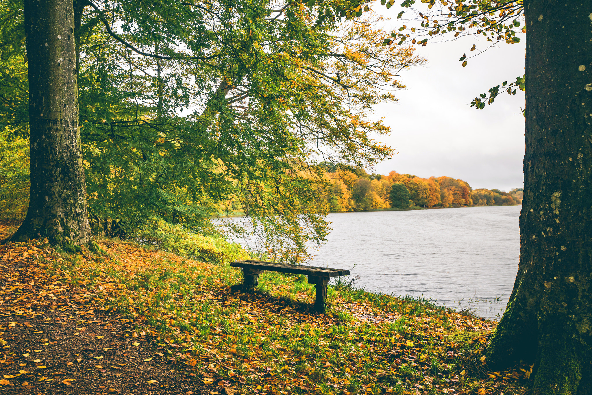 Sony a7R + Sony Vario-Sonnar T* 16-35mm F2.8 ZA SSM sample photo. Autumn landscape with a small wooden bench photography