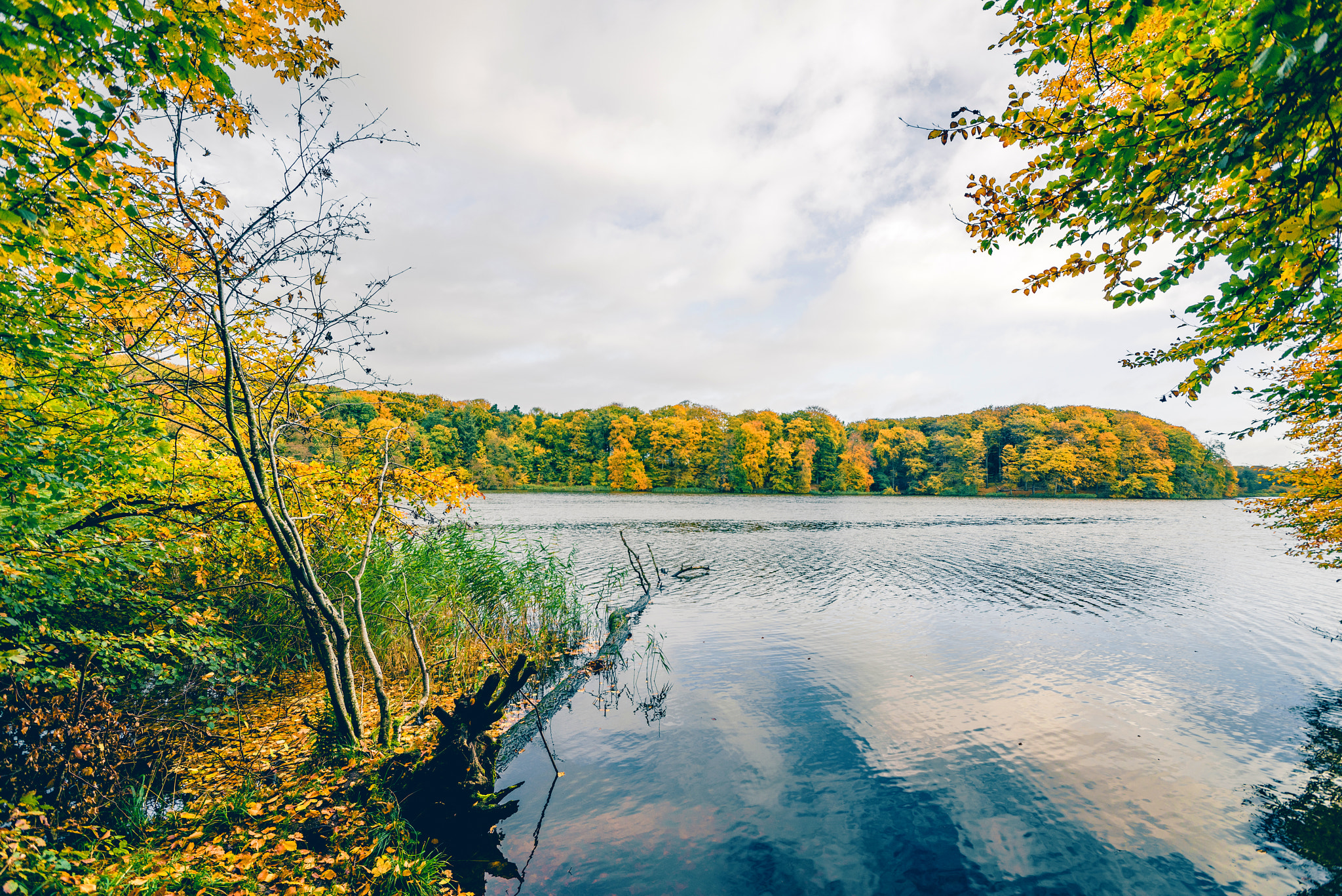 Sony a7R + Sony Vario-Sonnar T* 16-35mm F2.8 ZA SSM sample photo. Autumn lake landscape with colorful trees photography