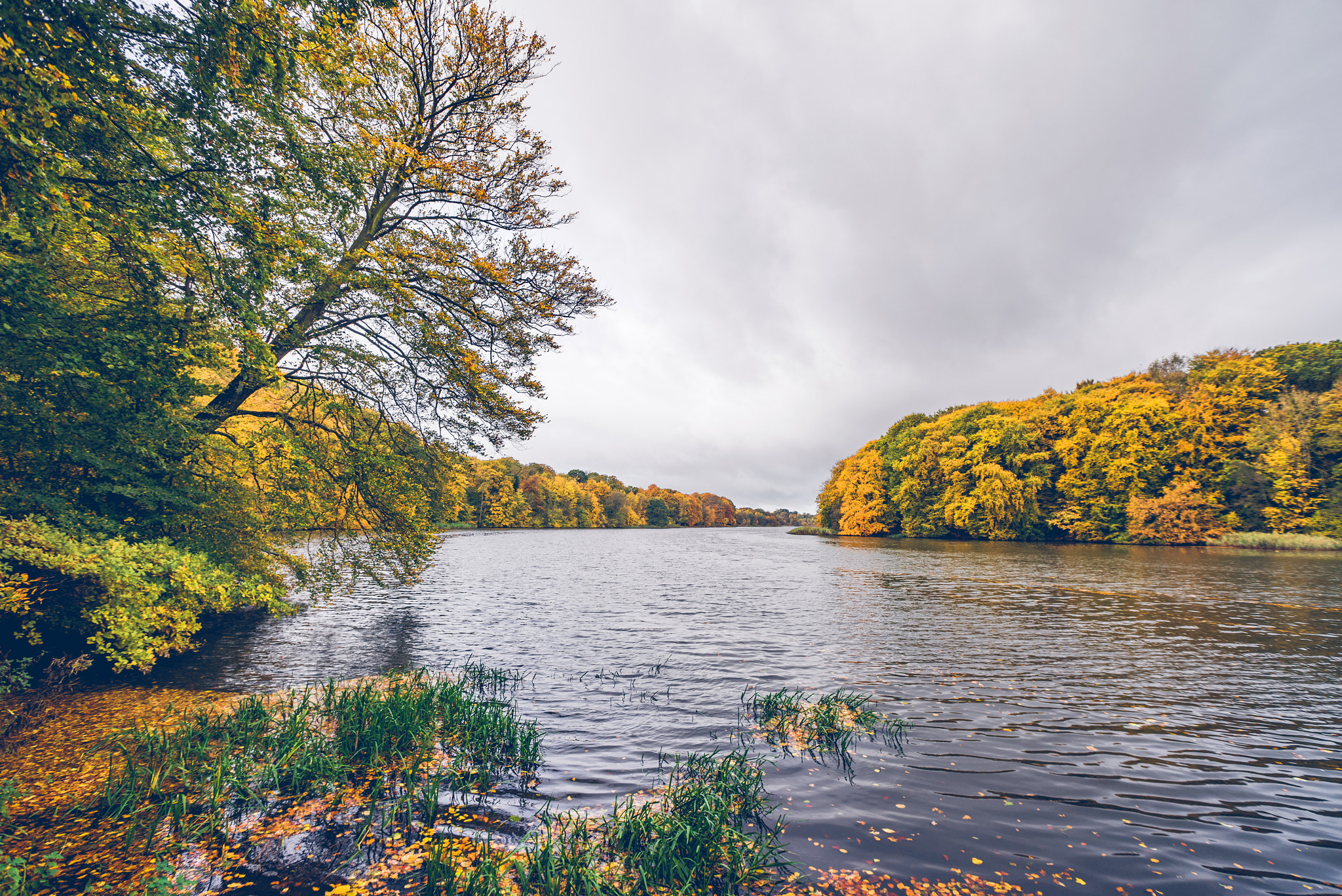 Sony a7R + Sony Vario-Sonnar T* 16-35mm F2.8 ZA SSM sample photo. Trees in autumn colors around a lake photography