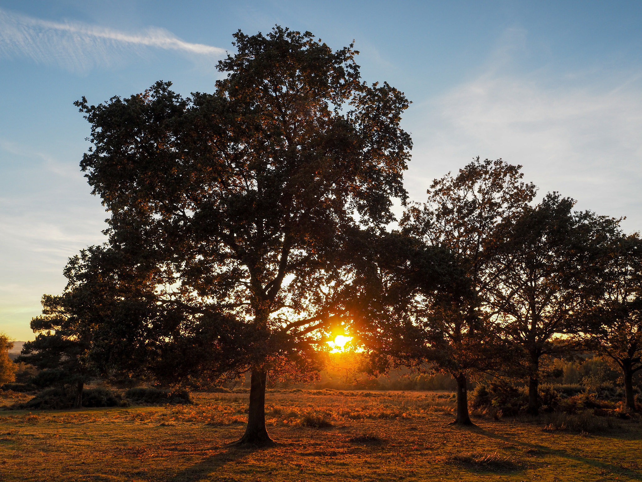 Olympus PEN-F + OLYMPUS M.12mm F2.0 sample photo. Sunset over the ashdown forest in sussex photography