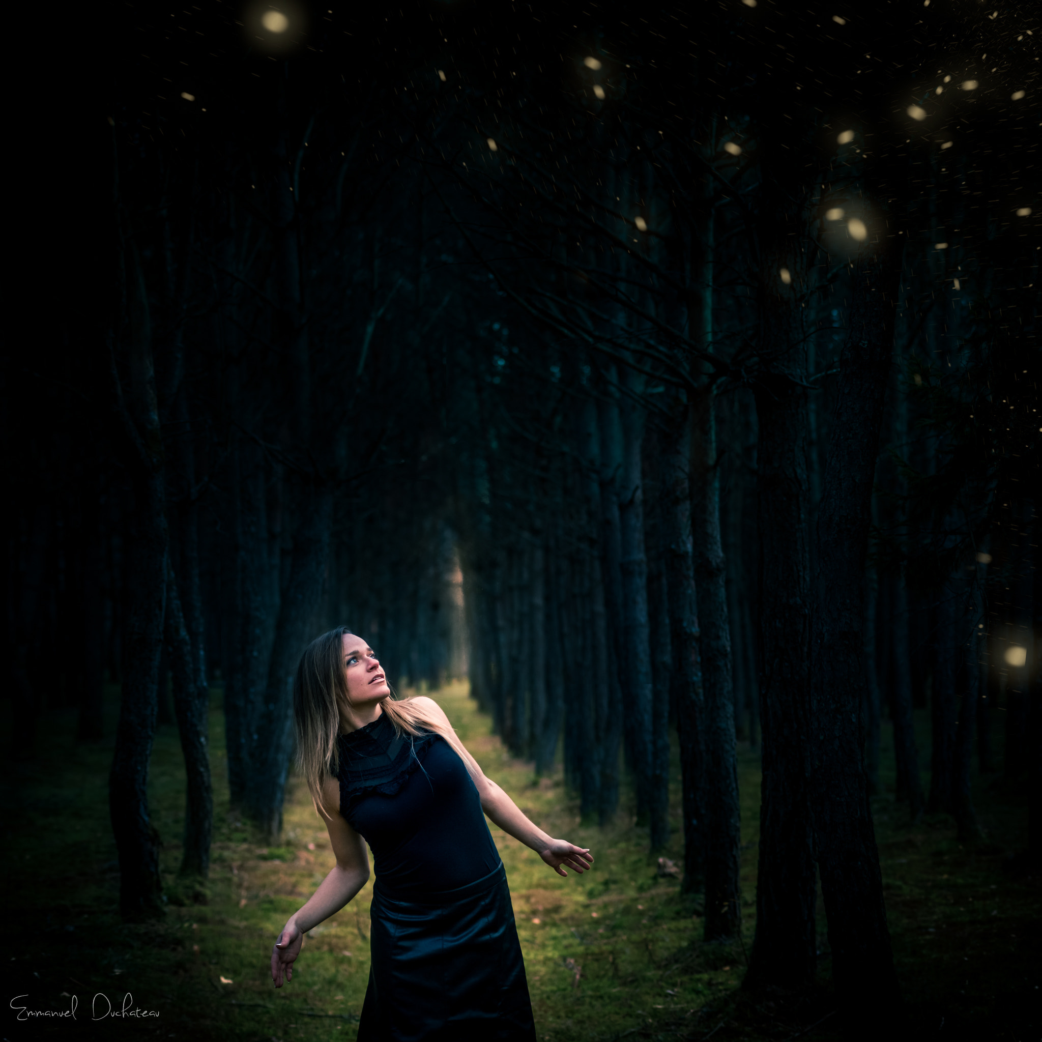 Canon EF 50mm F1.4 USM sample photo. Mystic forest photography