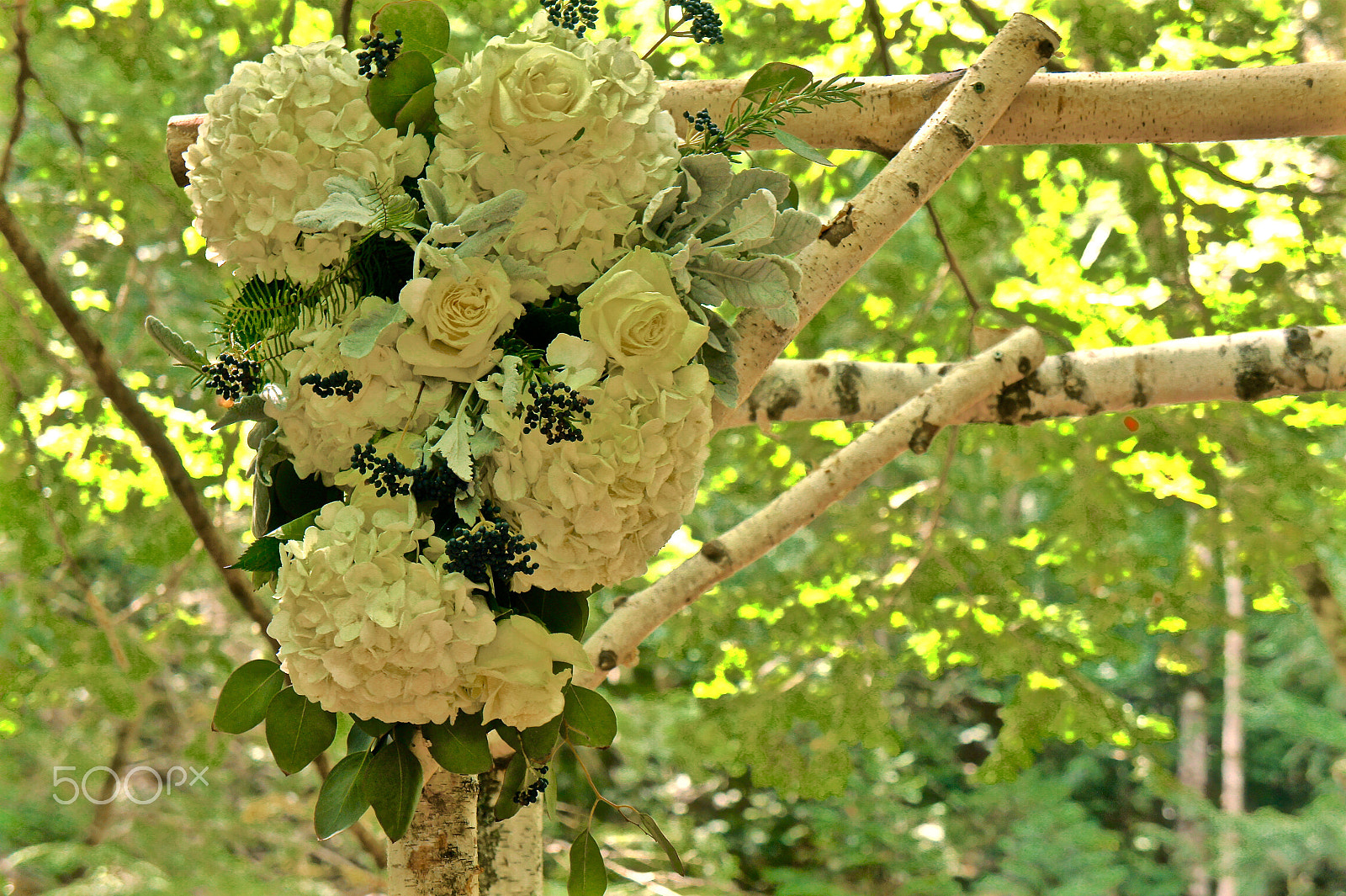 Sony Alpha NEX-3 sample photo. Forest wedding photography