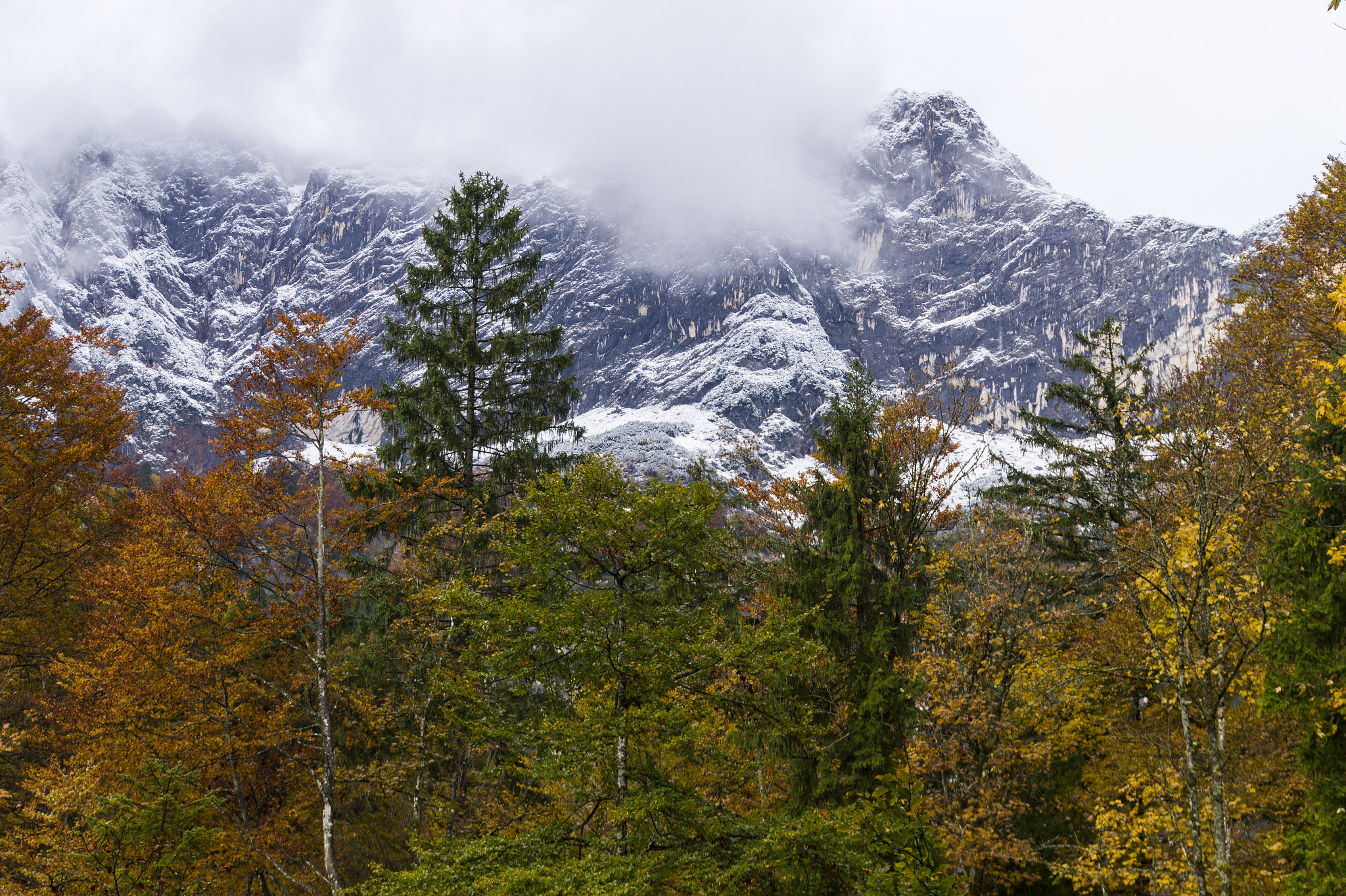 Sony SLT-A58 sample photo. Autumn and winter. photography