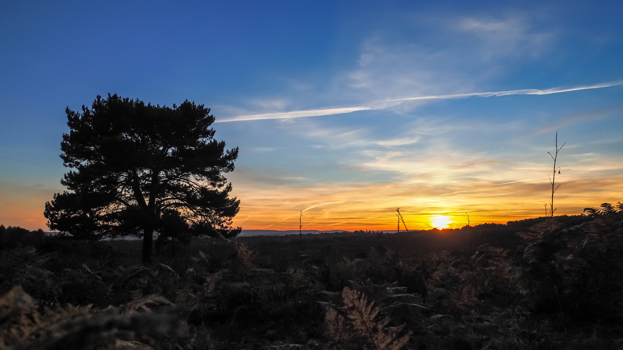 Olympus PEN-F + OLYMPUS M.12mm F2.0 sample photo. Sunset over the ashdown forest in sussex photography