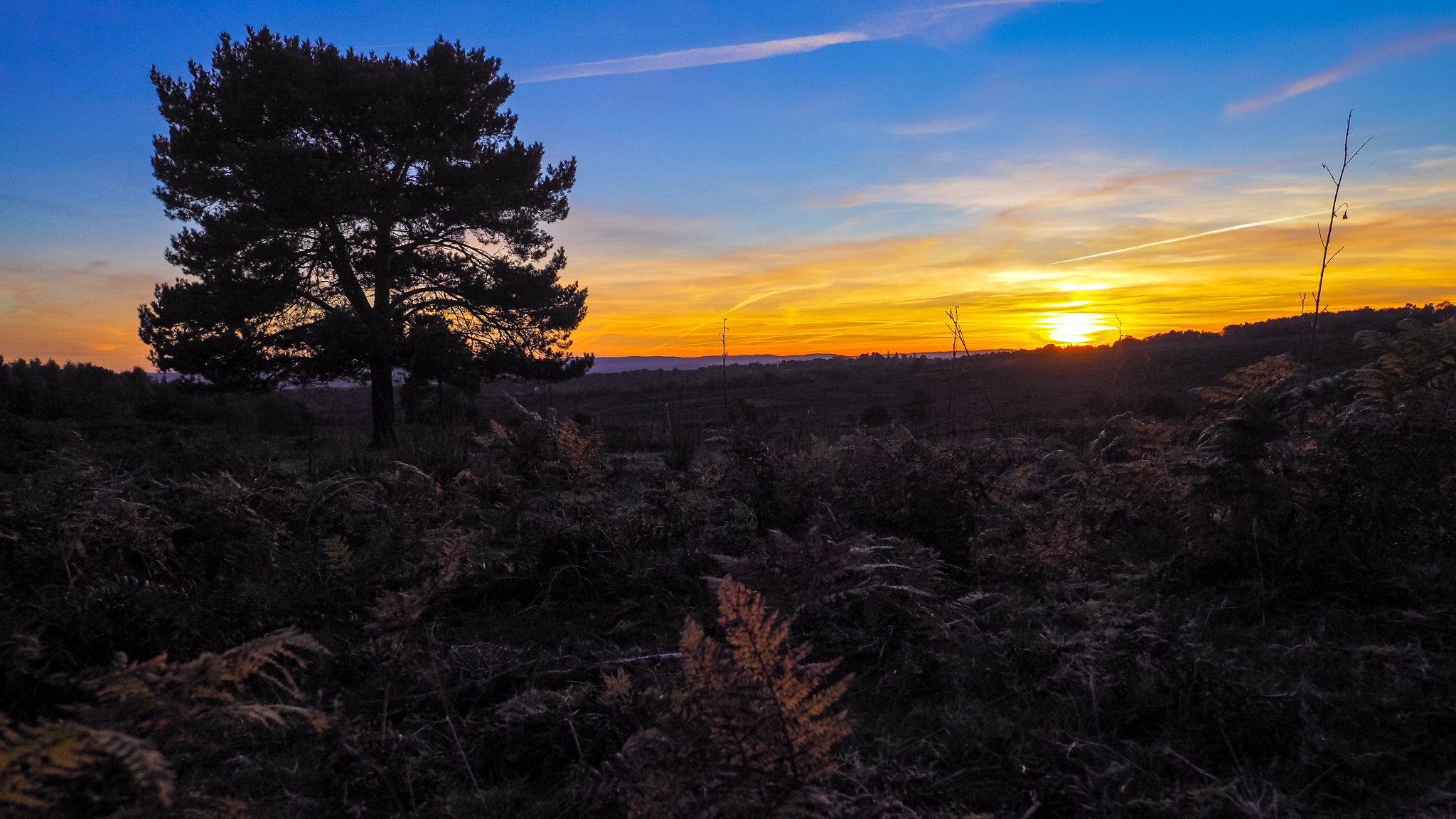 Olympus PEN-F + OLYMPUS M.12mm F2.0 sample photo. Sunset over the ashdown forest in sussex photography