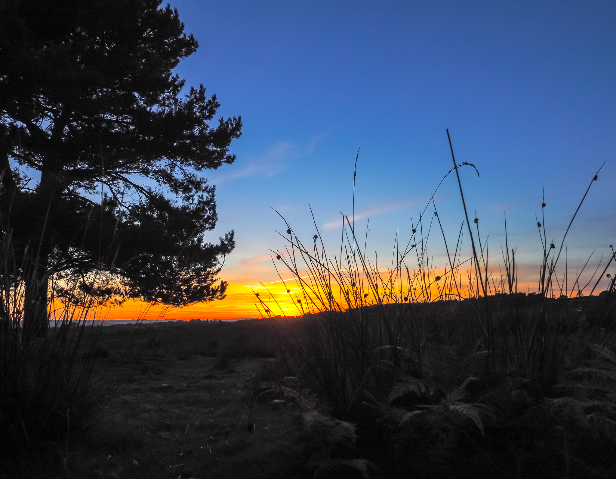 Olympus PEN-F + OLYMPUS M.12mm F2.0 sample photo. Sunset over the ashdown forest in sussex photography