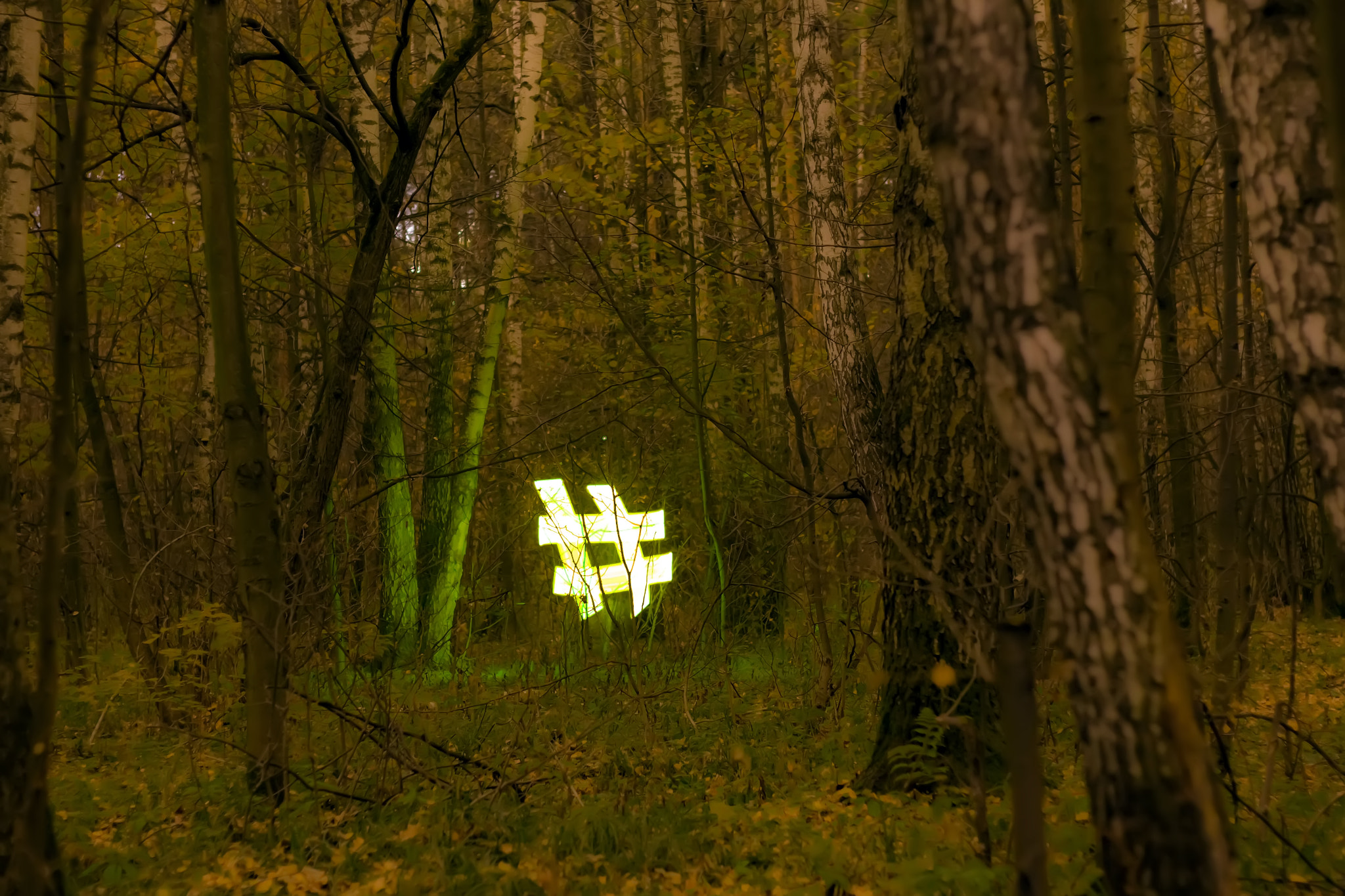 Canon EOS M + Canon EF 50mm F1.8 II sample photo. Forest signs. photography
