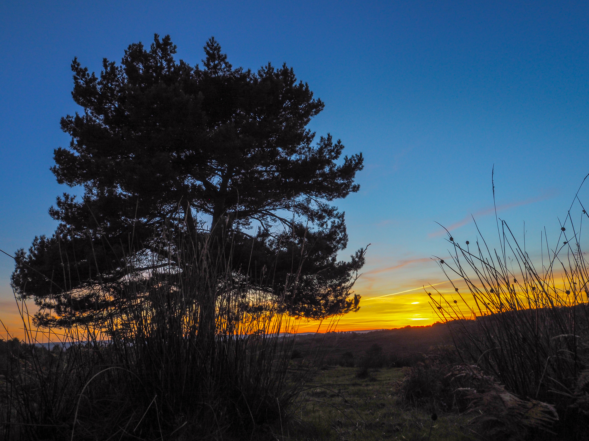 Olympus PEN-F + OLYMPUS M.12mm F2.0 sample photo. Sunset over the ashdown forest in sussex photography