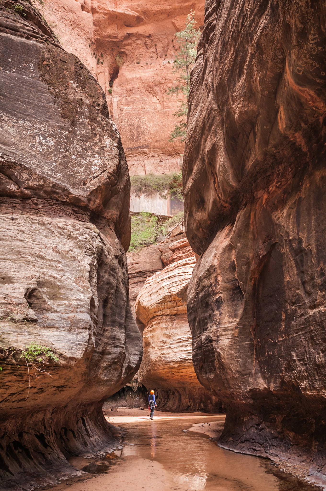 Nikon D300 sample photo. Canyoneering in the subway photography