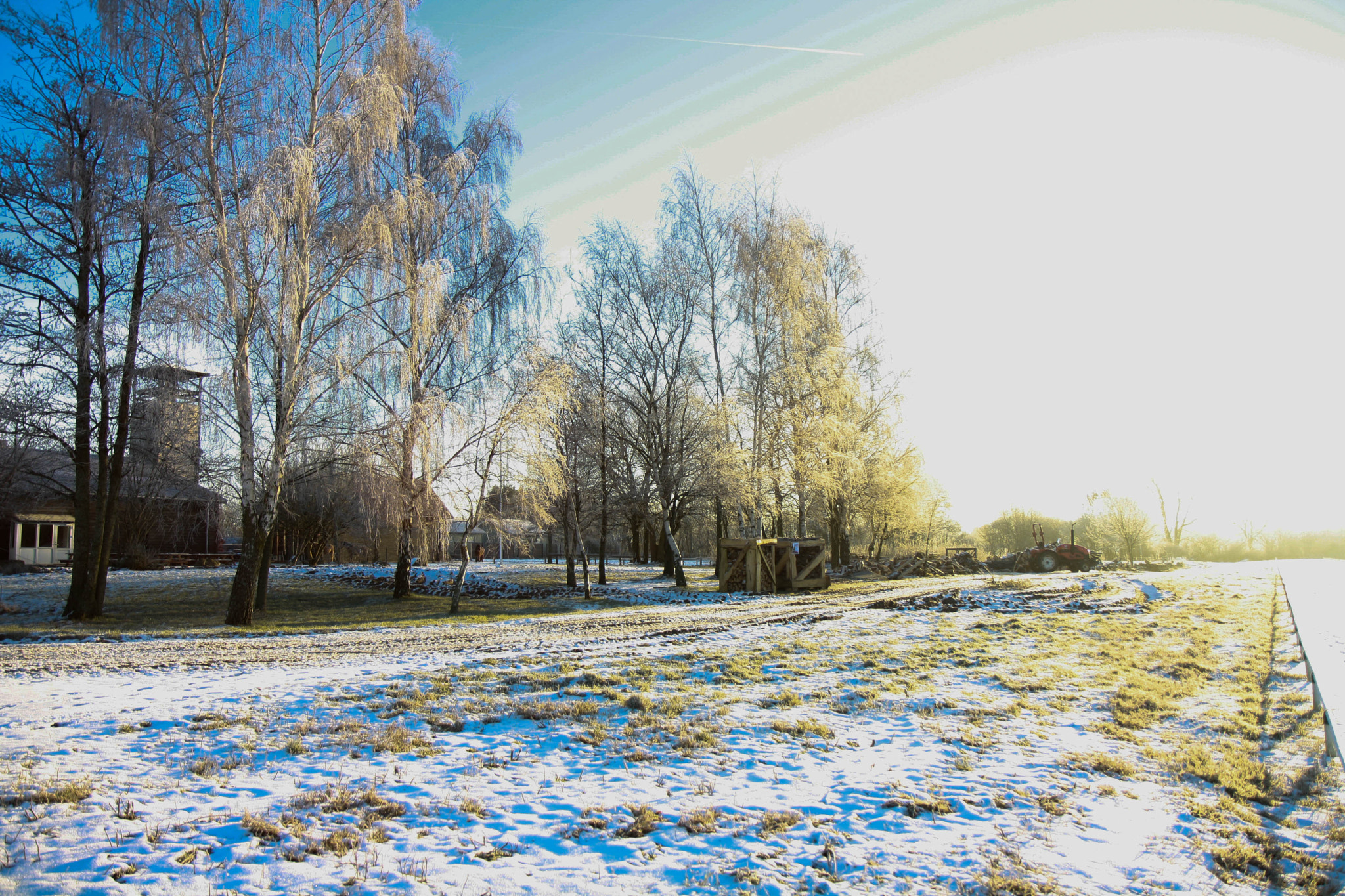 Canon EOS 1000D (EOS Digital Rebel XS / EOS Kiss F) sample photo. Frozen nature photography