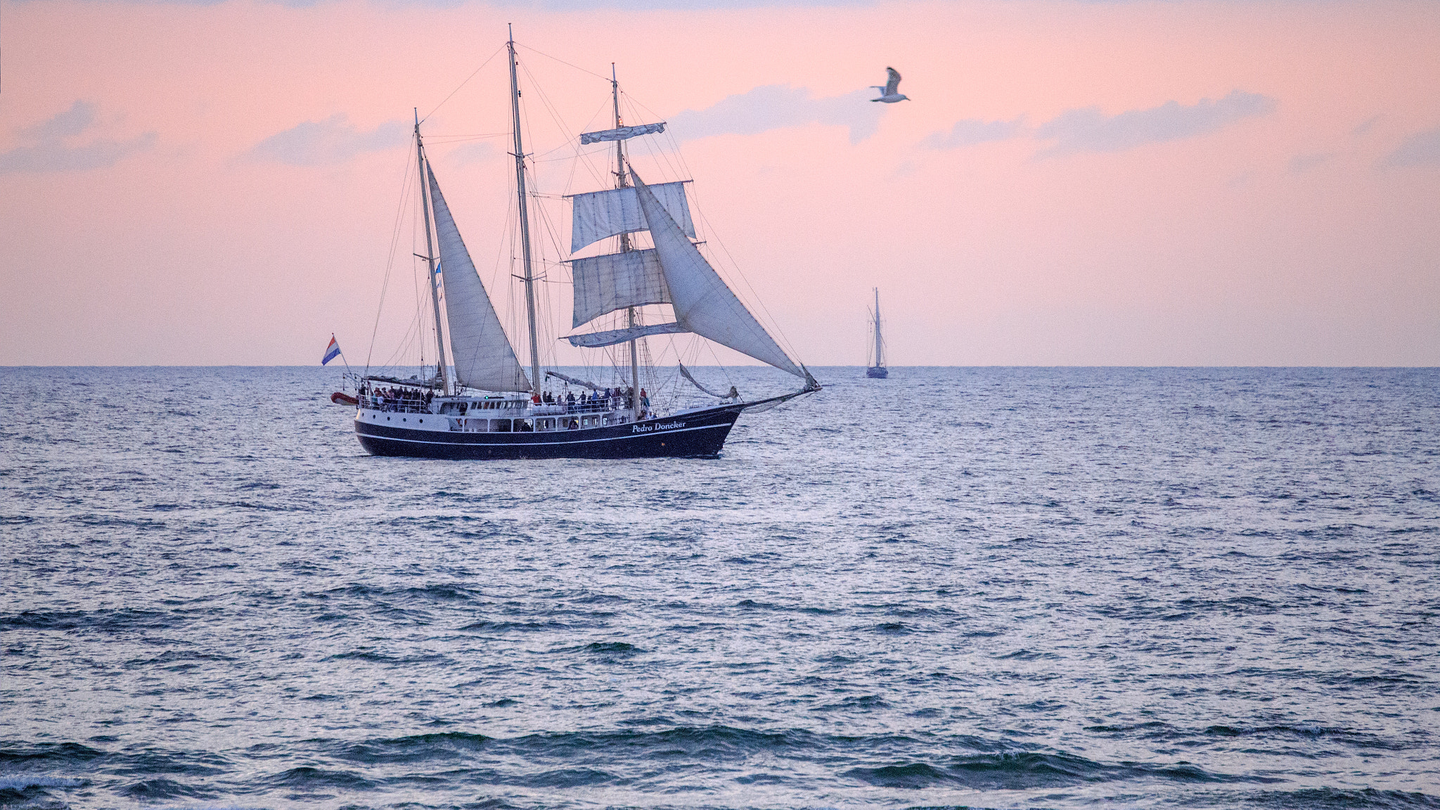 Canon EOS 6D sample photo. Hansesail rostock sailboat with seagull photography