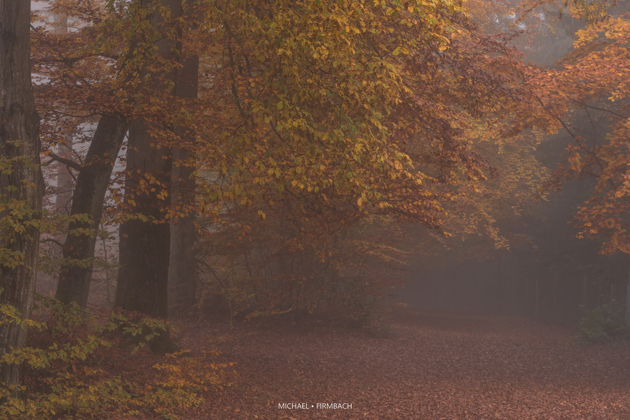 Sony a6000 + Sony Sonnar T* FE 55mm F1.8 ZA sample photo. Herbst photography