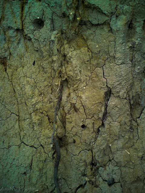 Sony Ericsson C510 sample photo. A piece of møns klint photography