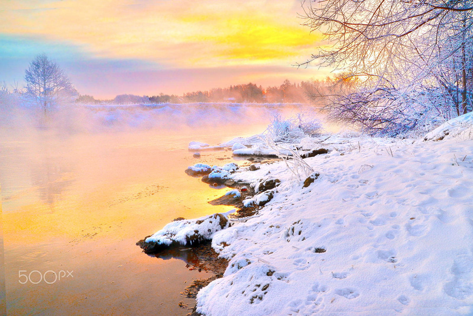 Nikon D600 sample photo. In soft paws of dawn... photography