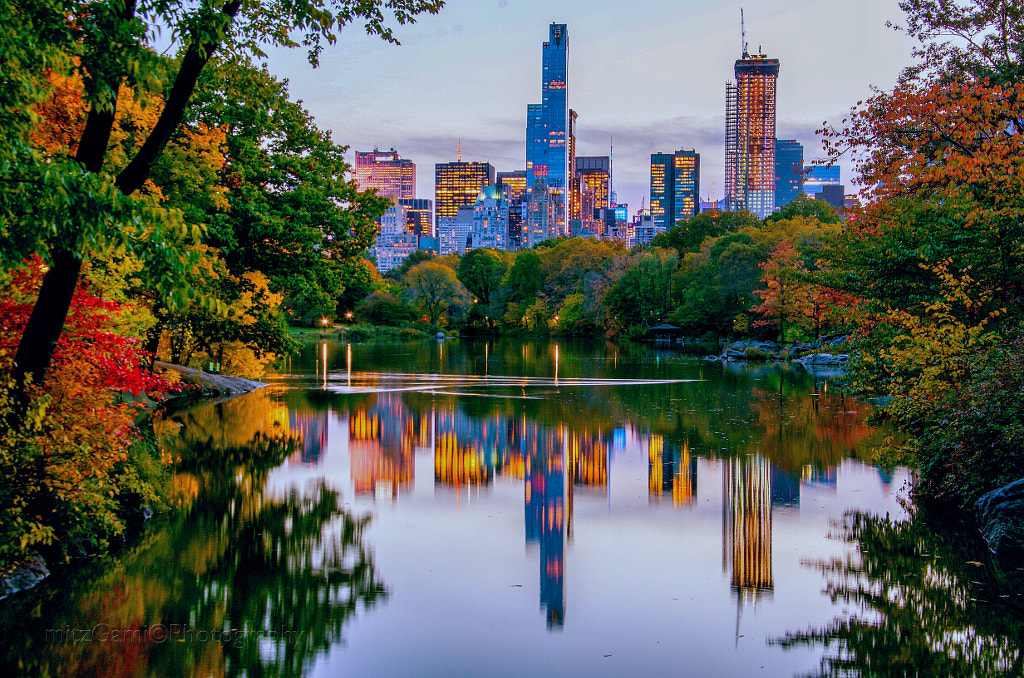 Reflection of a Concrete Jungle, Central Park by Rosalie Quinto / 500px