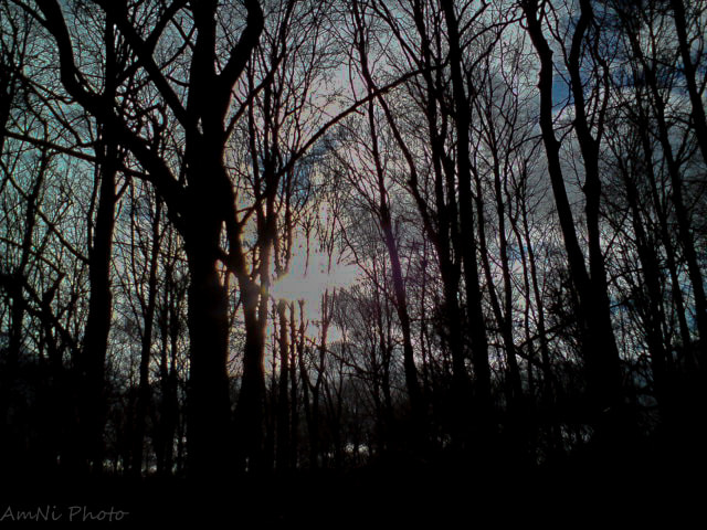 Sony Ericsson C510 sample photo. Here comes the sun photography