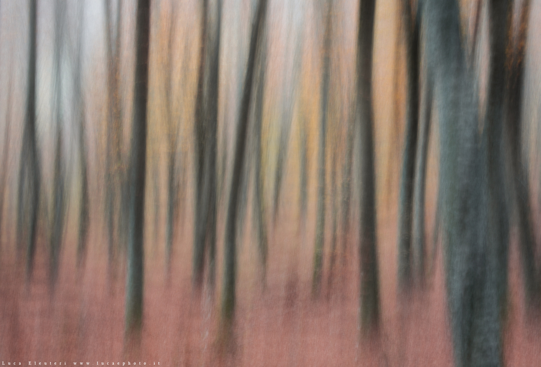 Canon EOS 5D sample photo. Wood photography