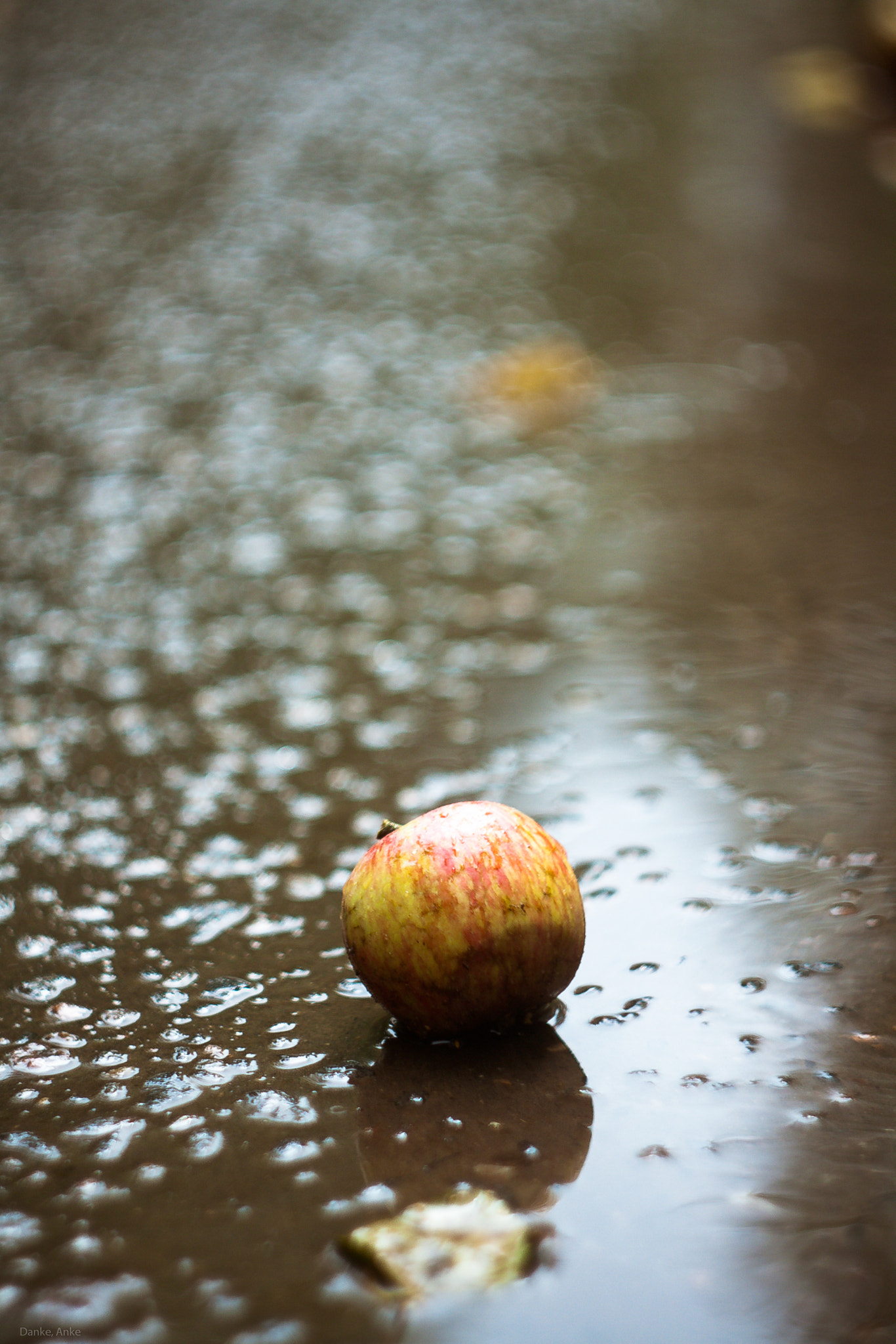 Canon EF 35-80mm f/4-5.6 sample photo. Rainapple photography