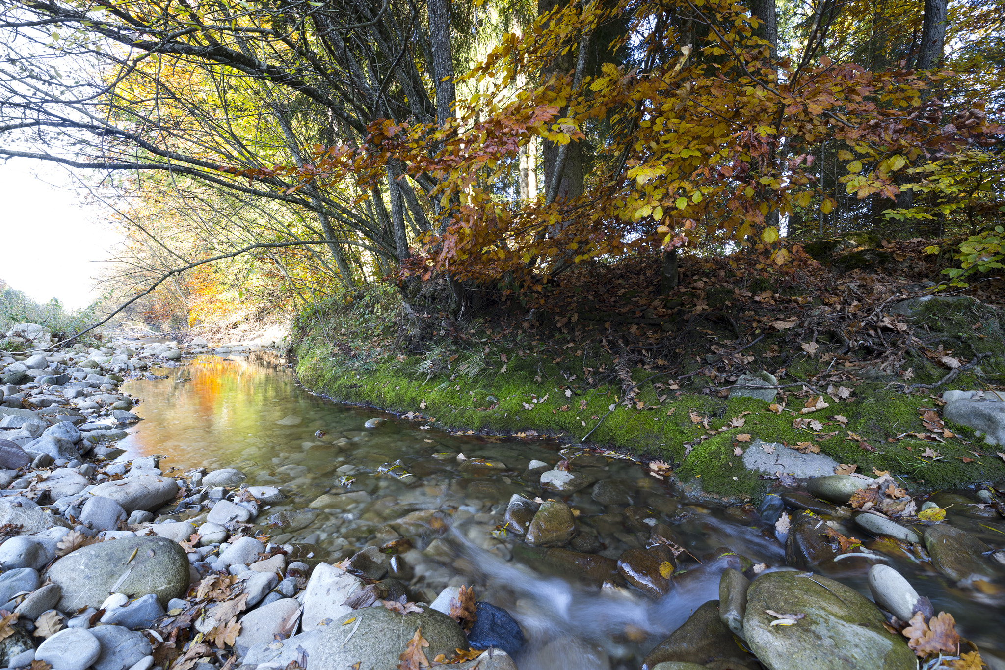 Sony a7 sample photo. Autumn photography