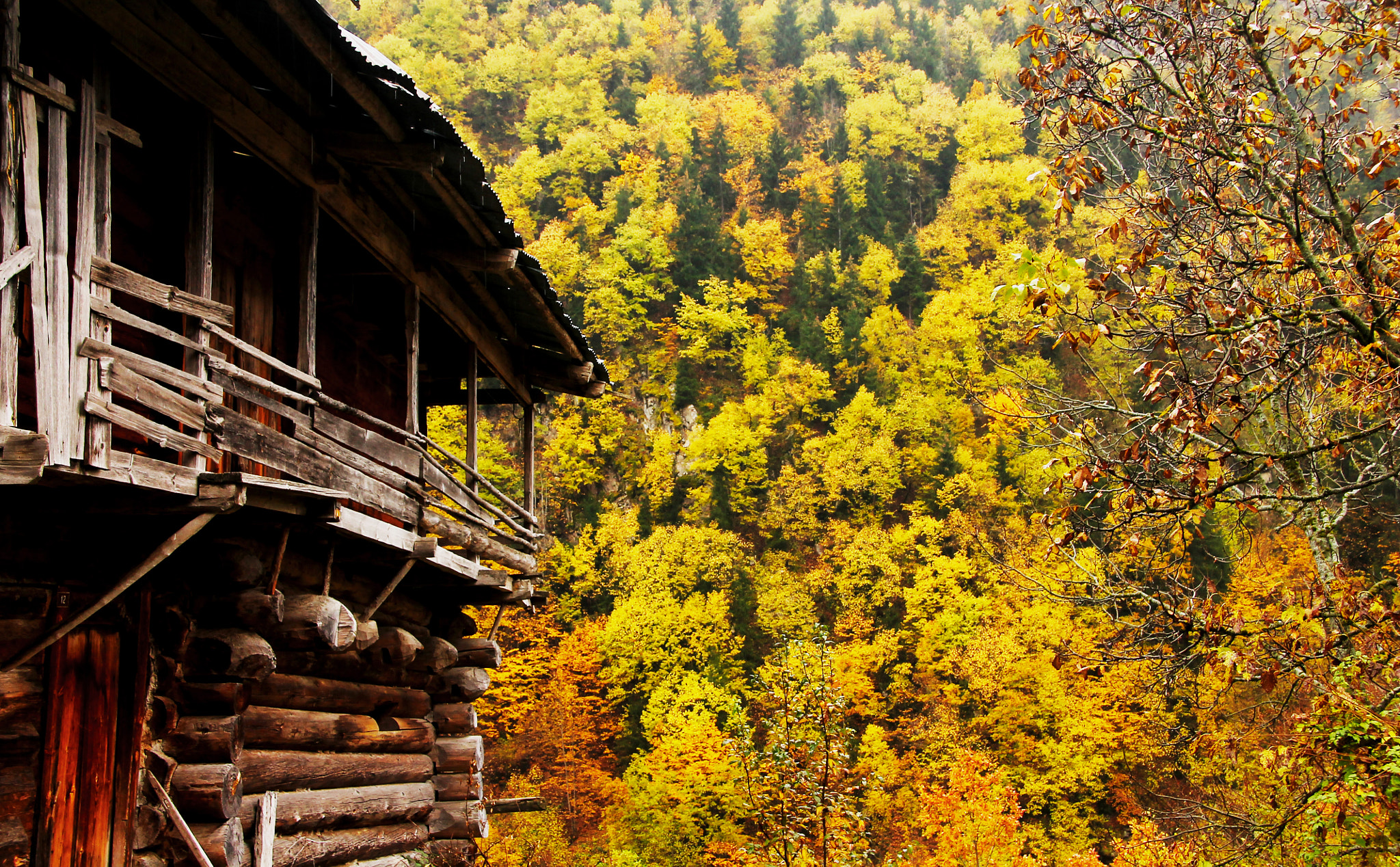Canon EOS 1100D (EOS Rebel T3 / EOS Kiss X50) sample photo. Autumn... photography