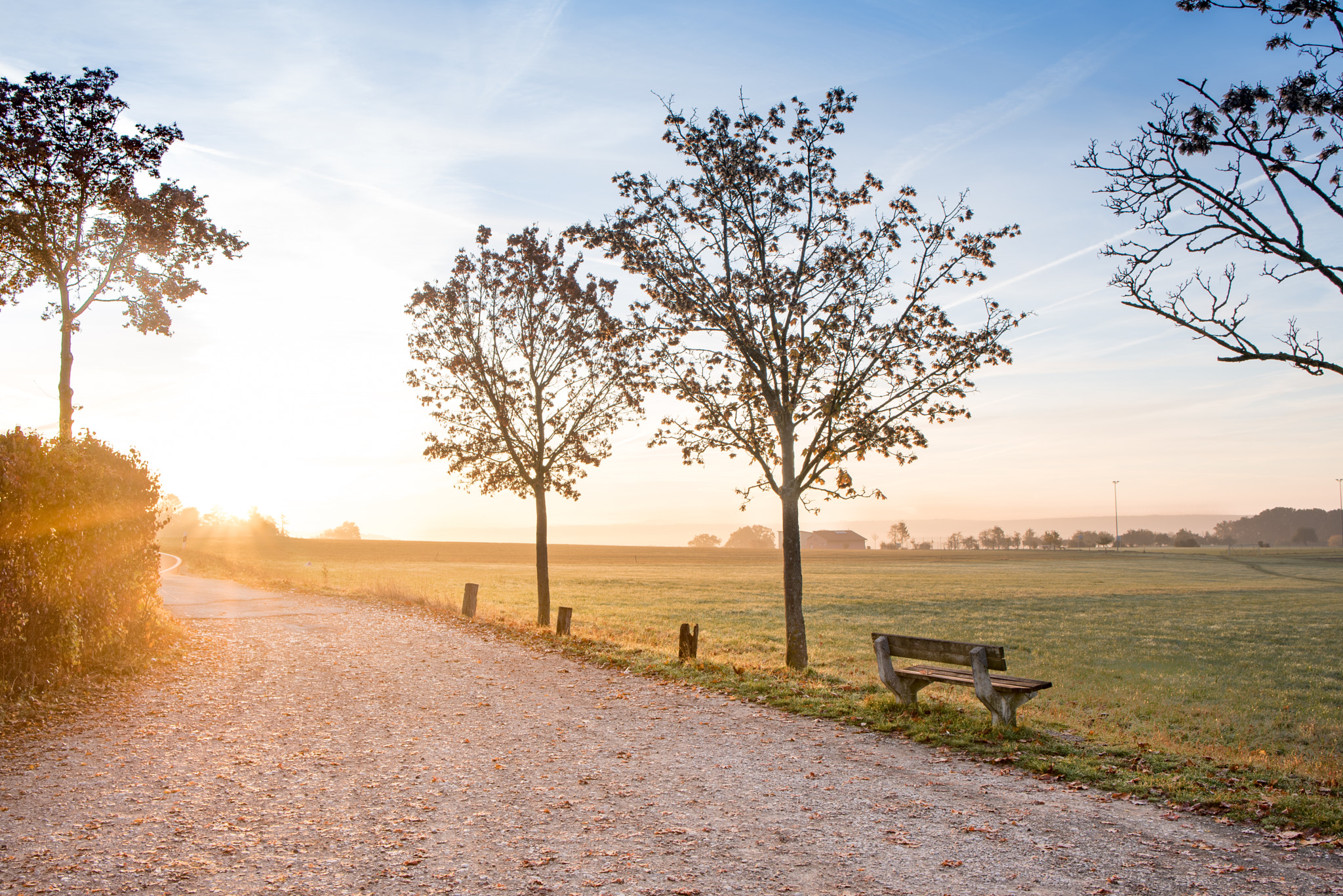 Nikon D750 + Tamron SP 35mm F1.8 Di VC USD sample photo. Erlangen photography