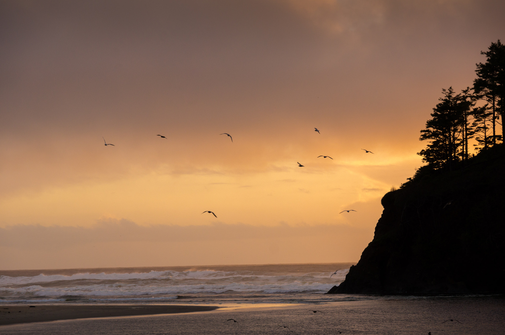 Sony SLT-A55 (SLT-A55V) sample photo. Beach sunset photography