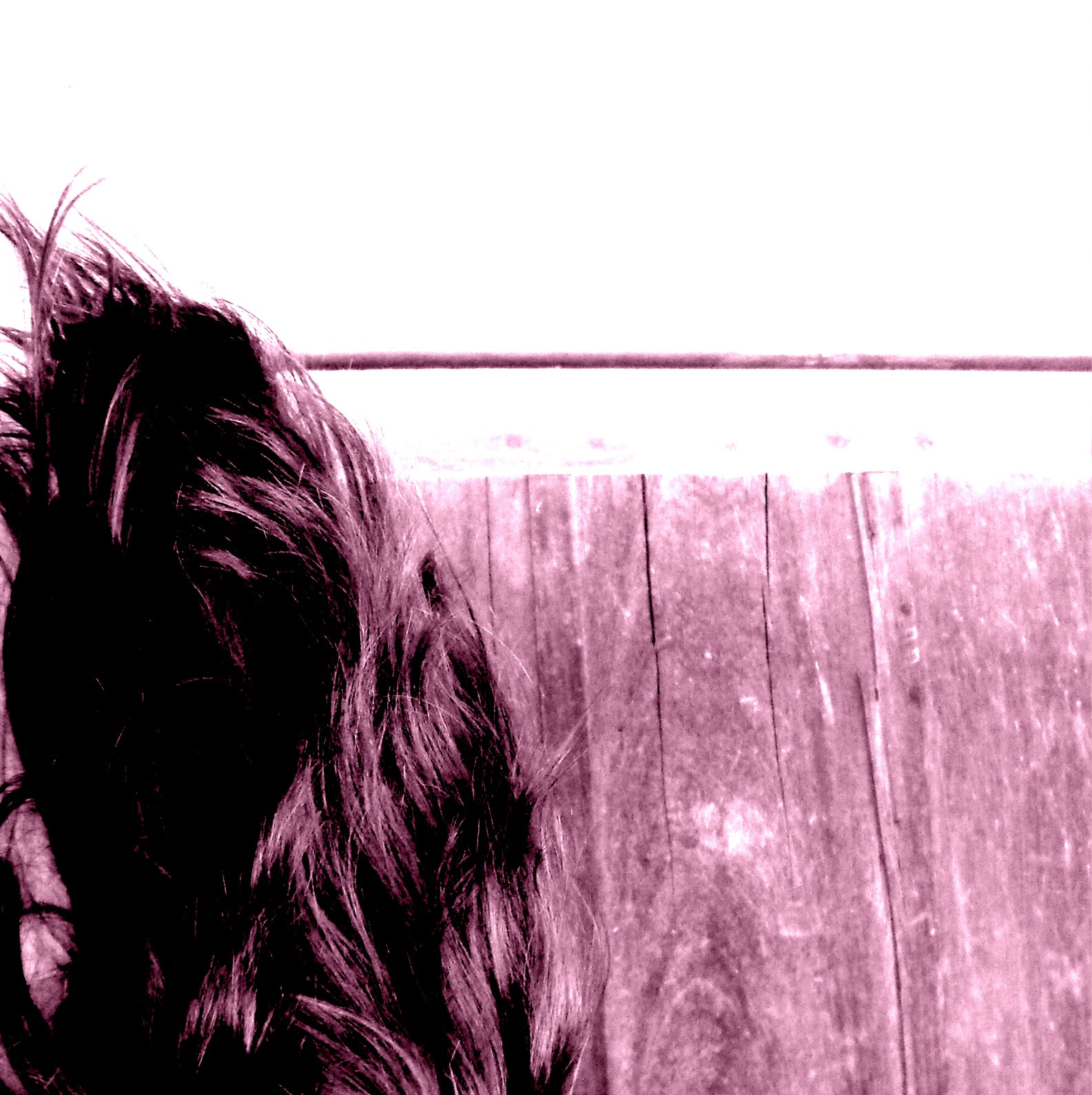 Kodak EasyShare Z915 sample photo. Hair photography