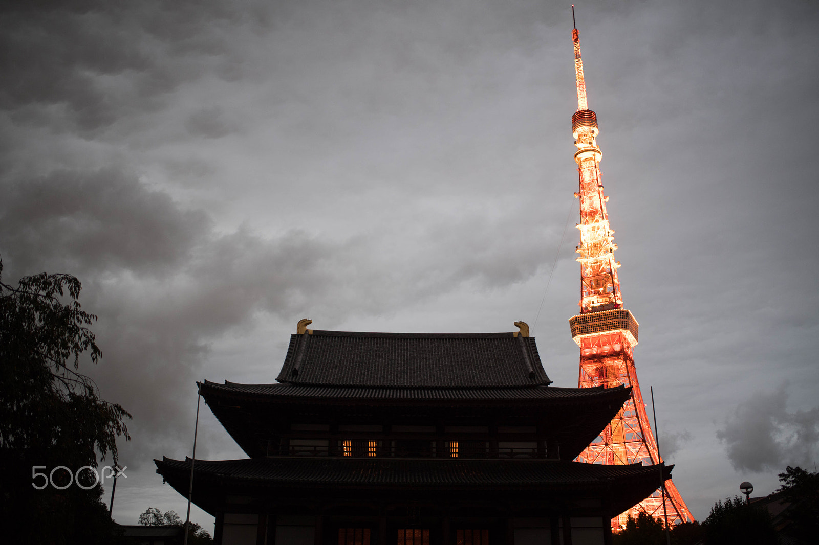Nikon D5 sample photo. Zojoji temple tokyo,japan photography