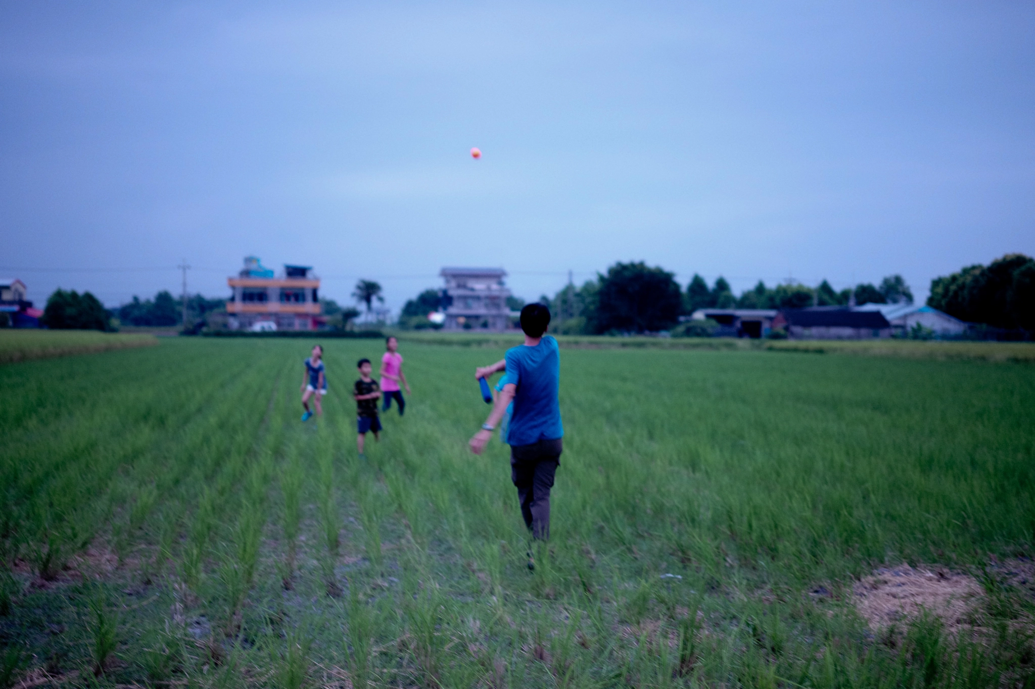 Leica APO-Summicron-M 50mm F2 ASPH sample photo. Baseball.jpeg photography