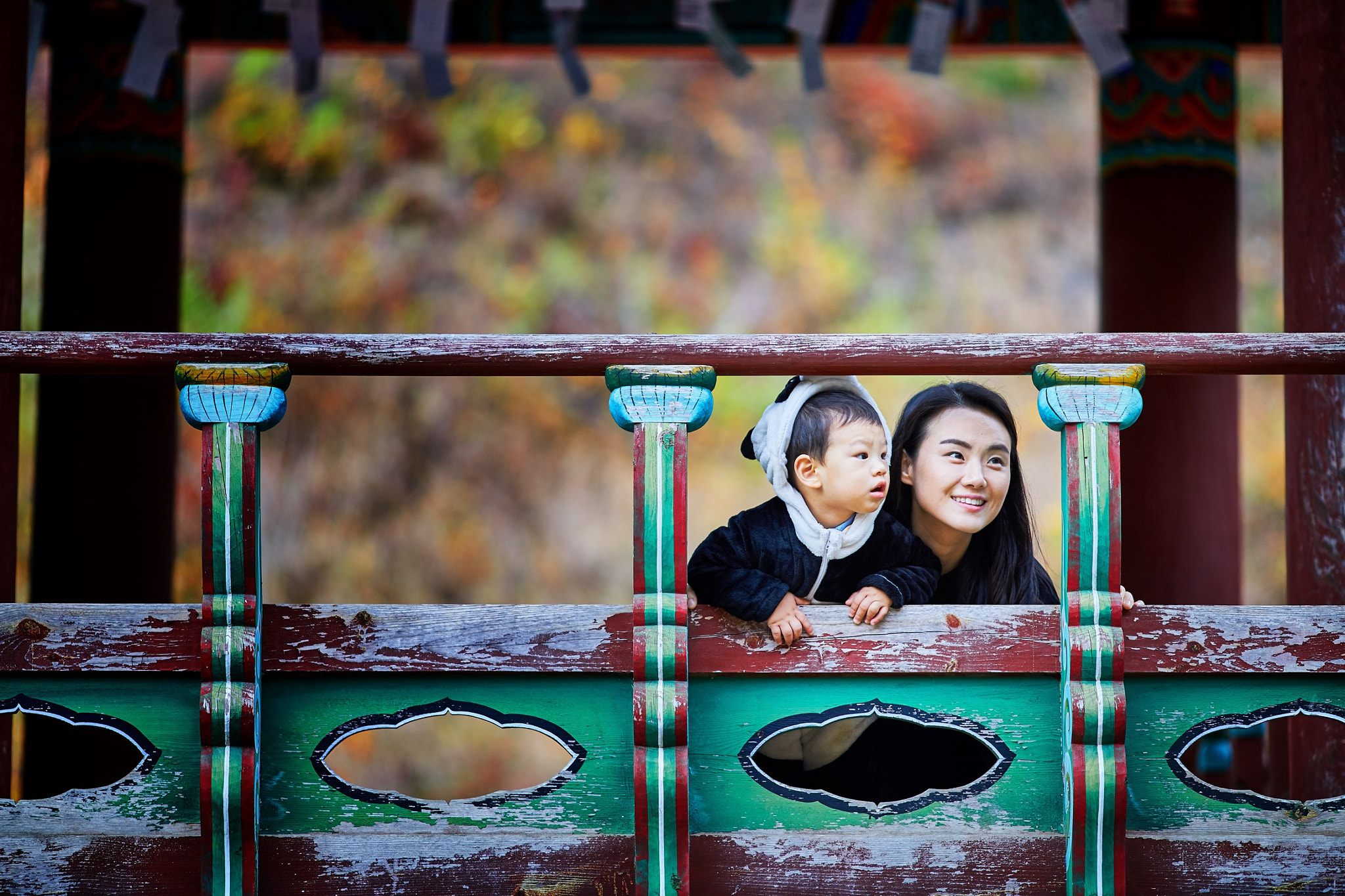 Canon EF 135mm F2L USM sample photo