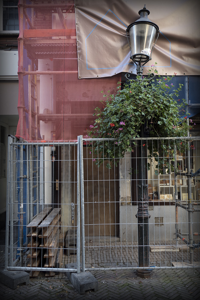 Olympus PEN-F sample photo. "welcome home" photography